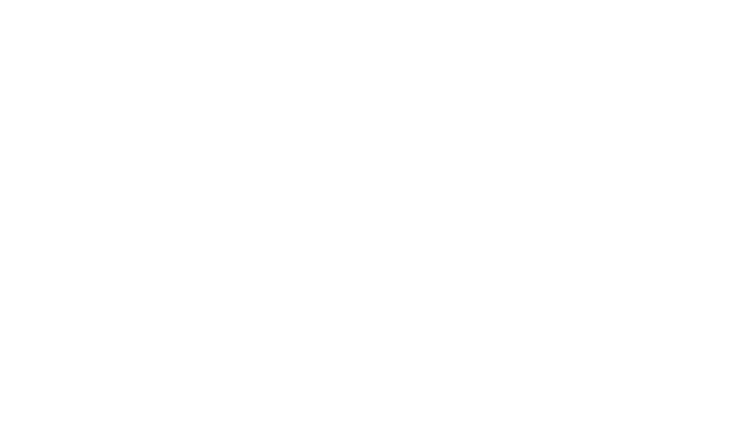 Raku Coffee Roaster