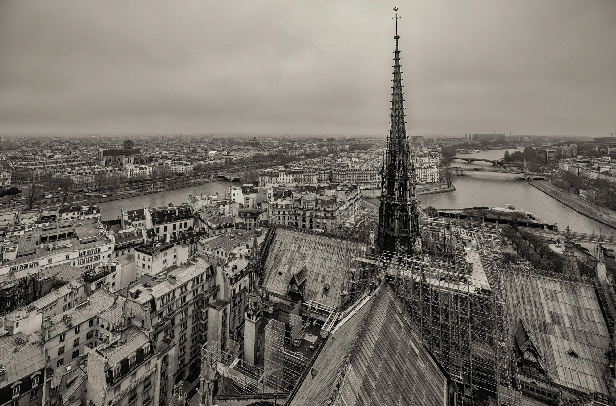 Cathédrale Notre-Dame de Paris, on the top