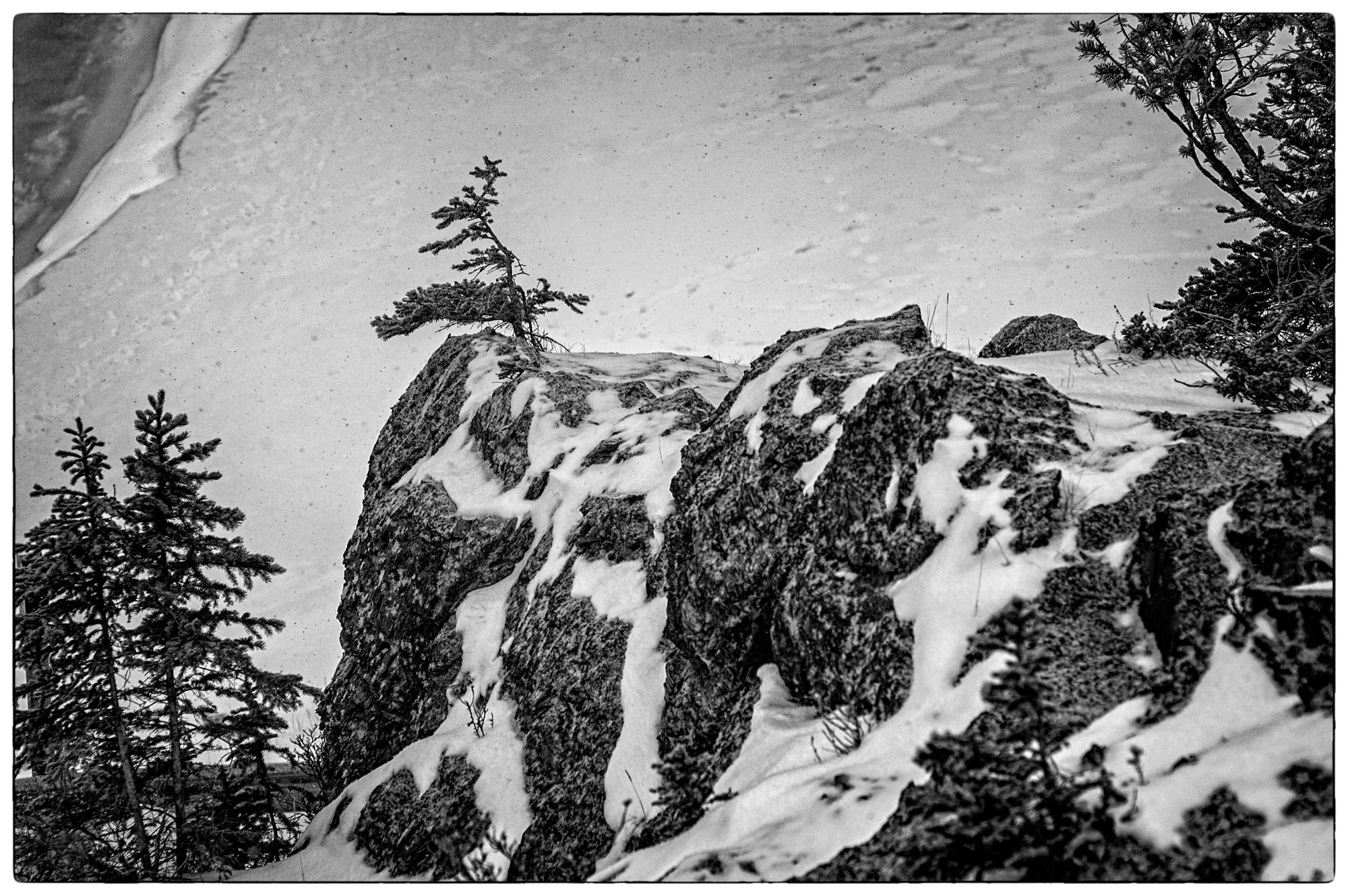 2009_jasper_05.jpg