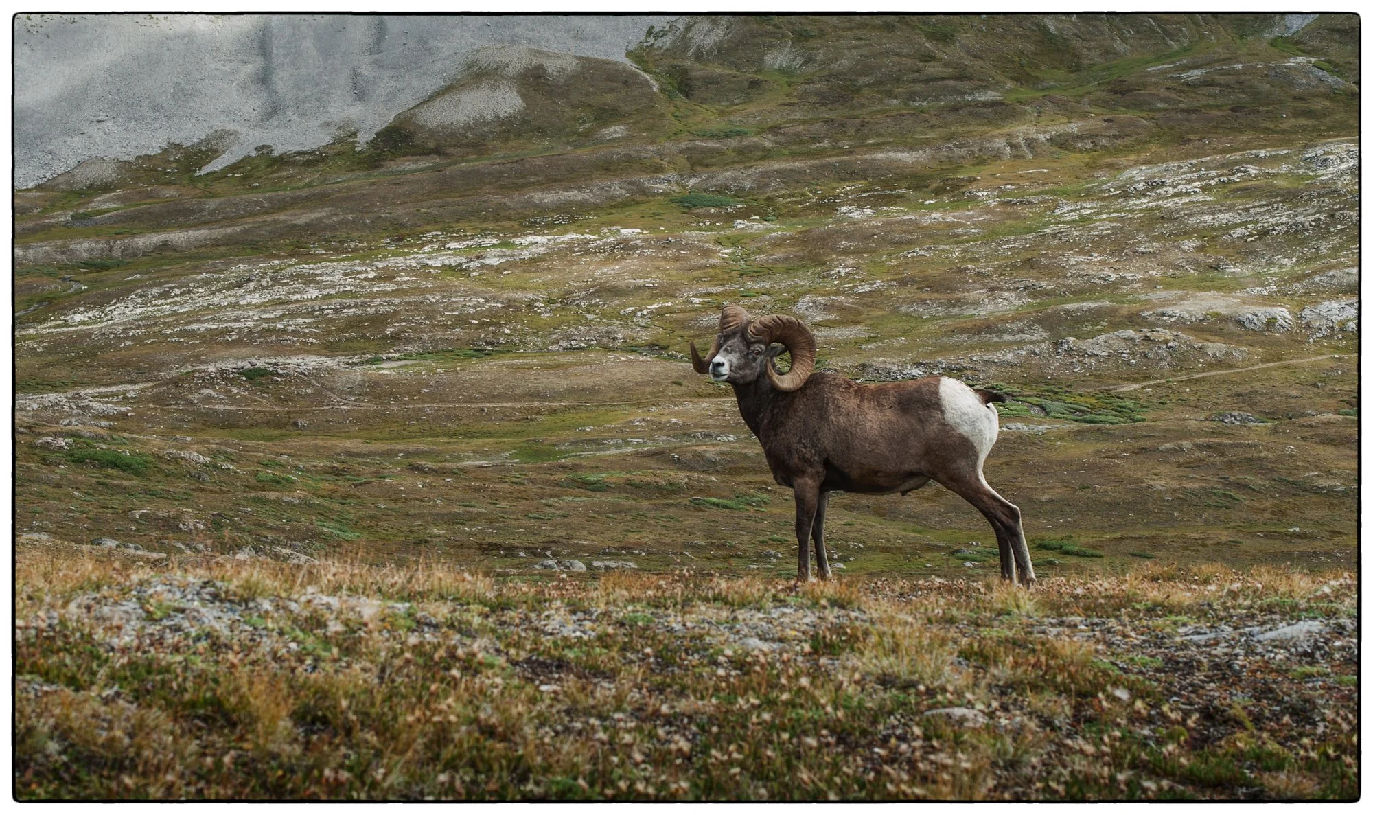 2012_jasper_18.jpg