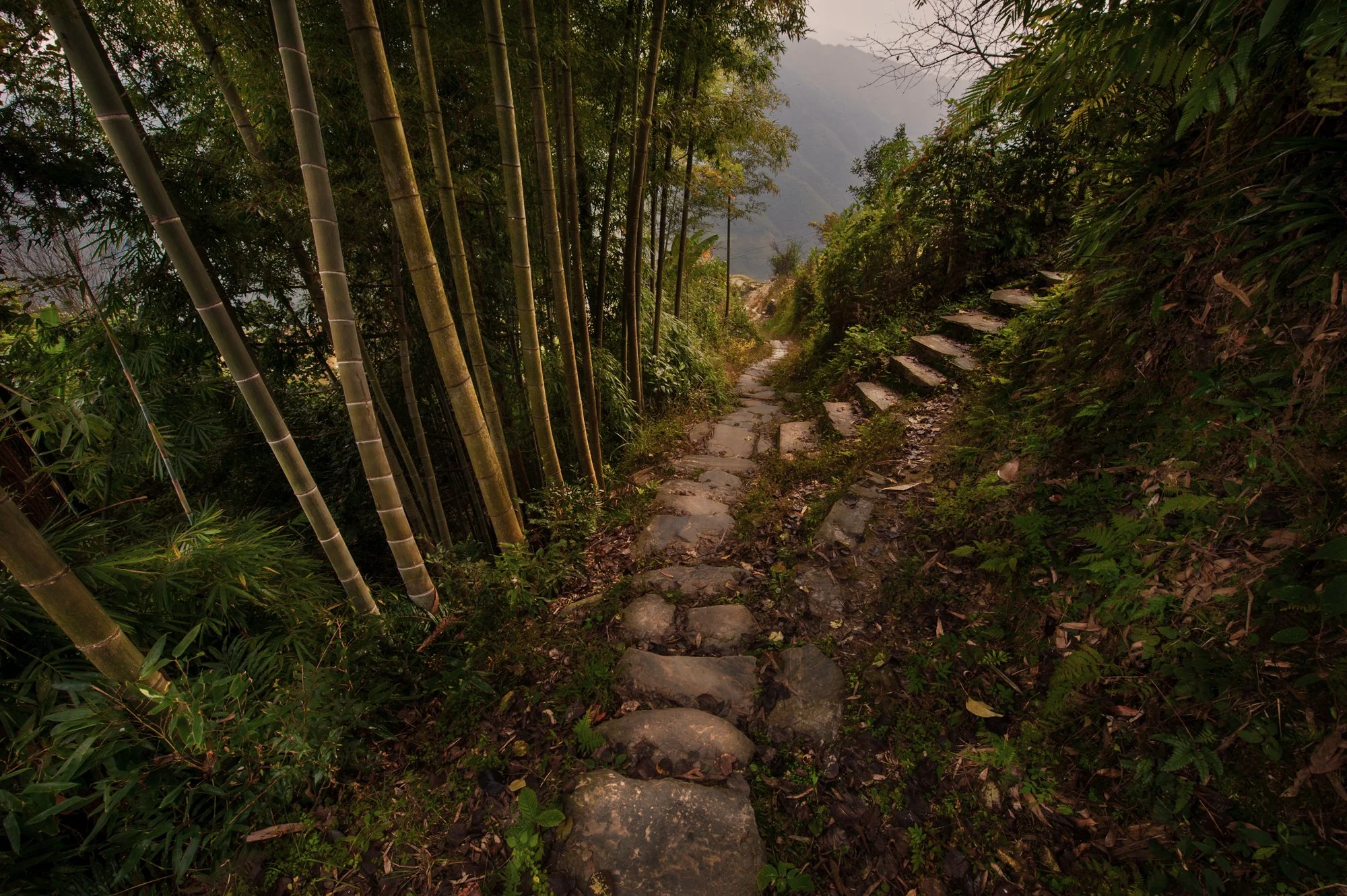 2011_china_longsheng_10.jpg