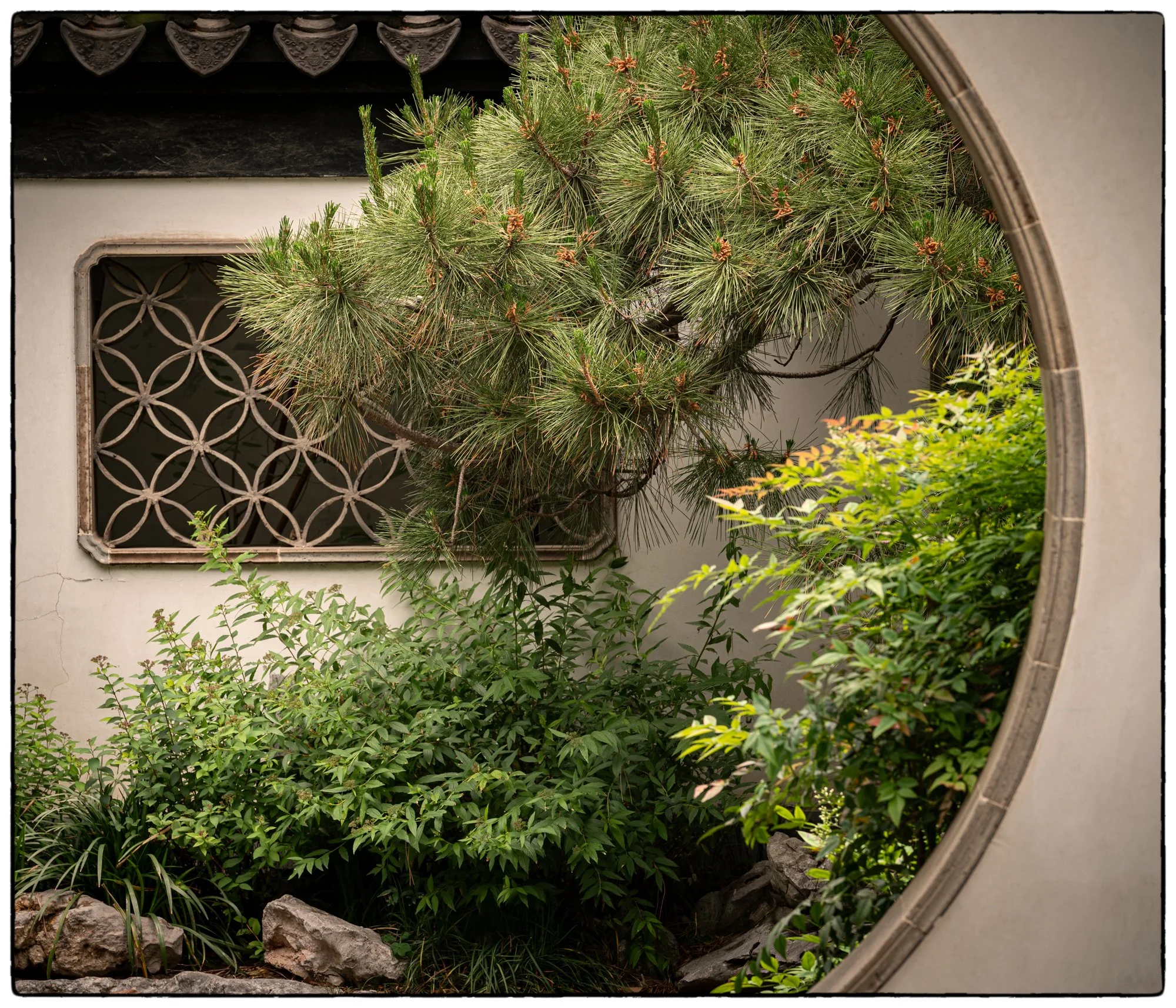 Zhanyuan garden and museum where dramatic history and intricate landscapes come together.