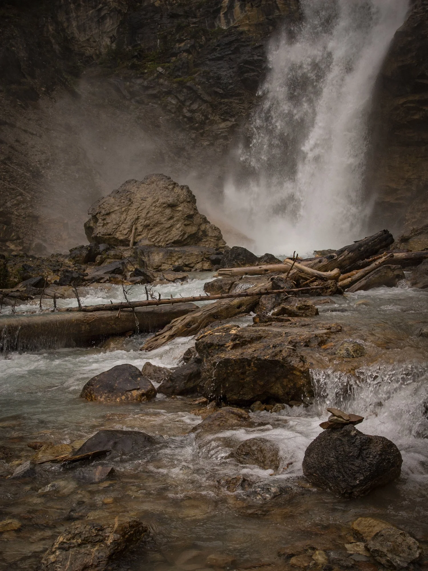 2009_yoho_11.jpg