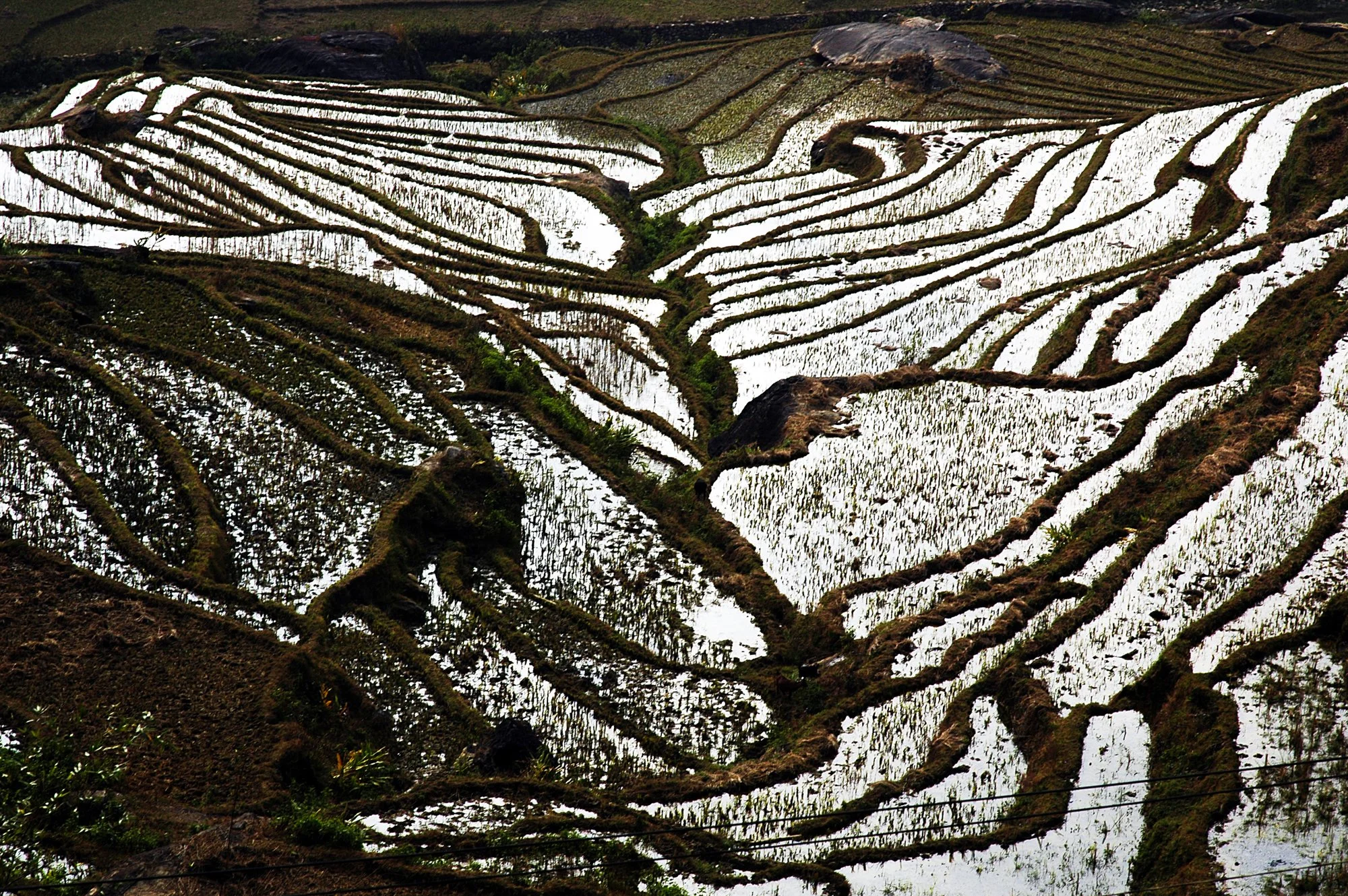 2008_sapa_35.jpg