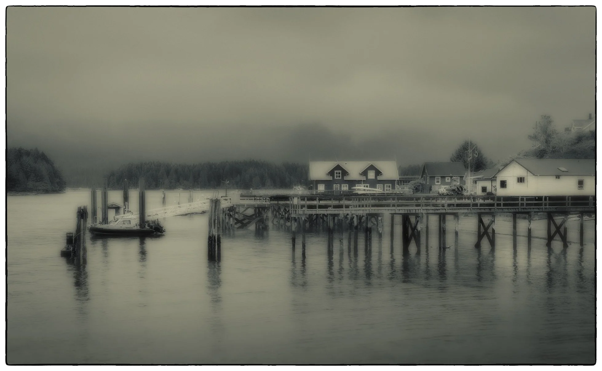 Tofino