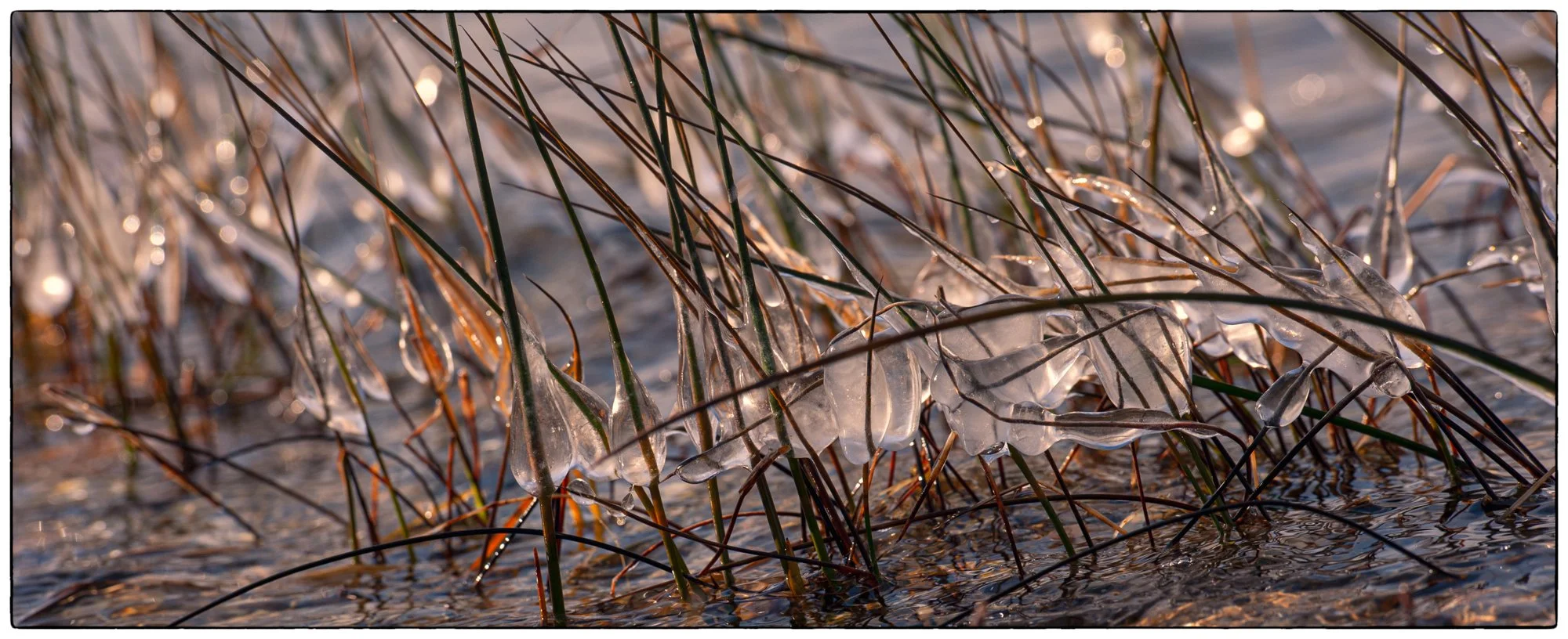 October. Patricia Lake.