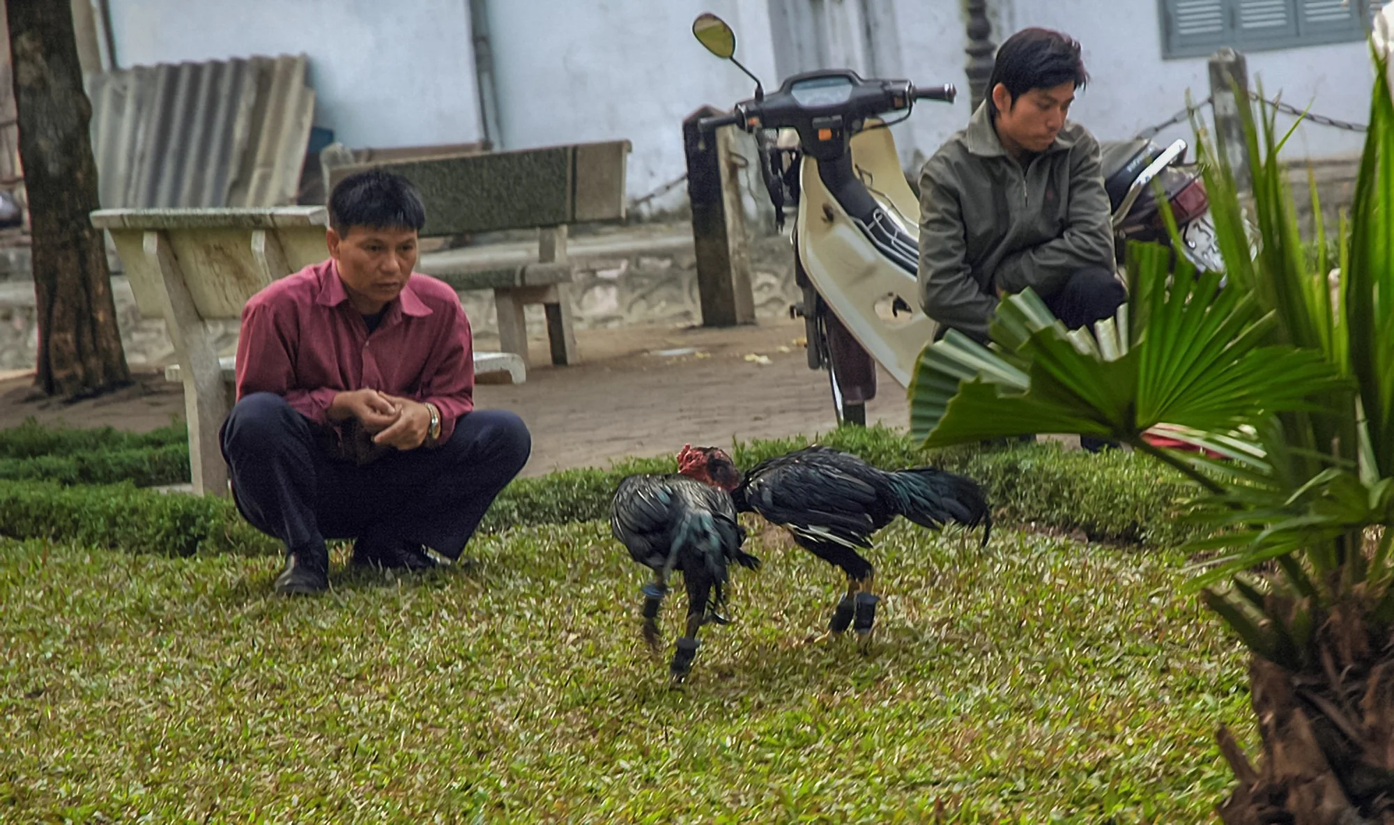 2008_hanoi_14.jpg