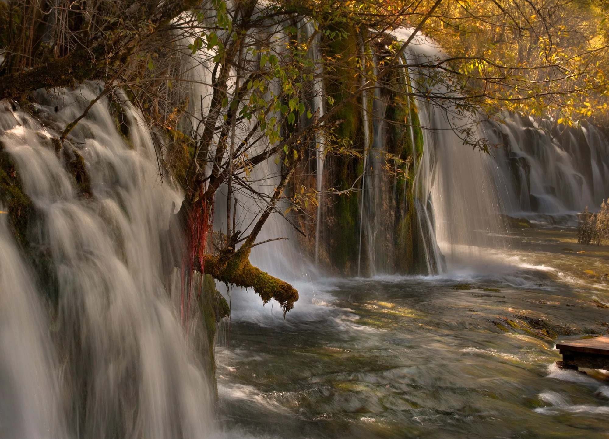 2011_china_jiuzhaigou_21.jpg