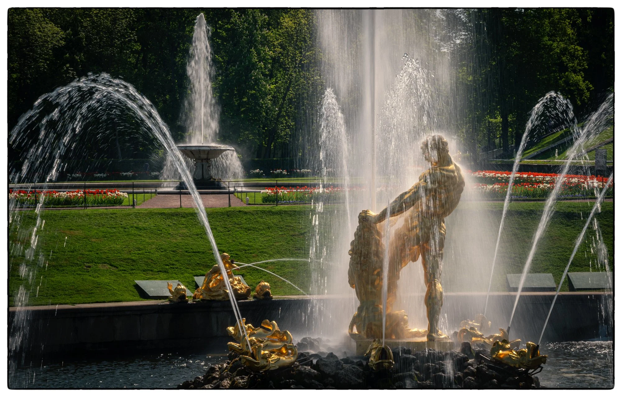 Here is the center peace of the main cascade The Samson Fountain. It is actually biblical, depicts the Old Testament story of Samson and how he rips the lion in two halves