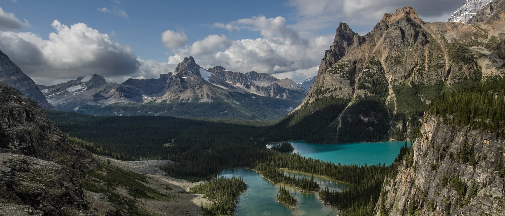 2009_yoho_28.jpg