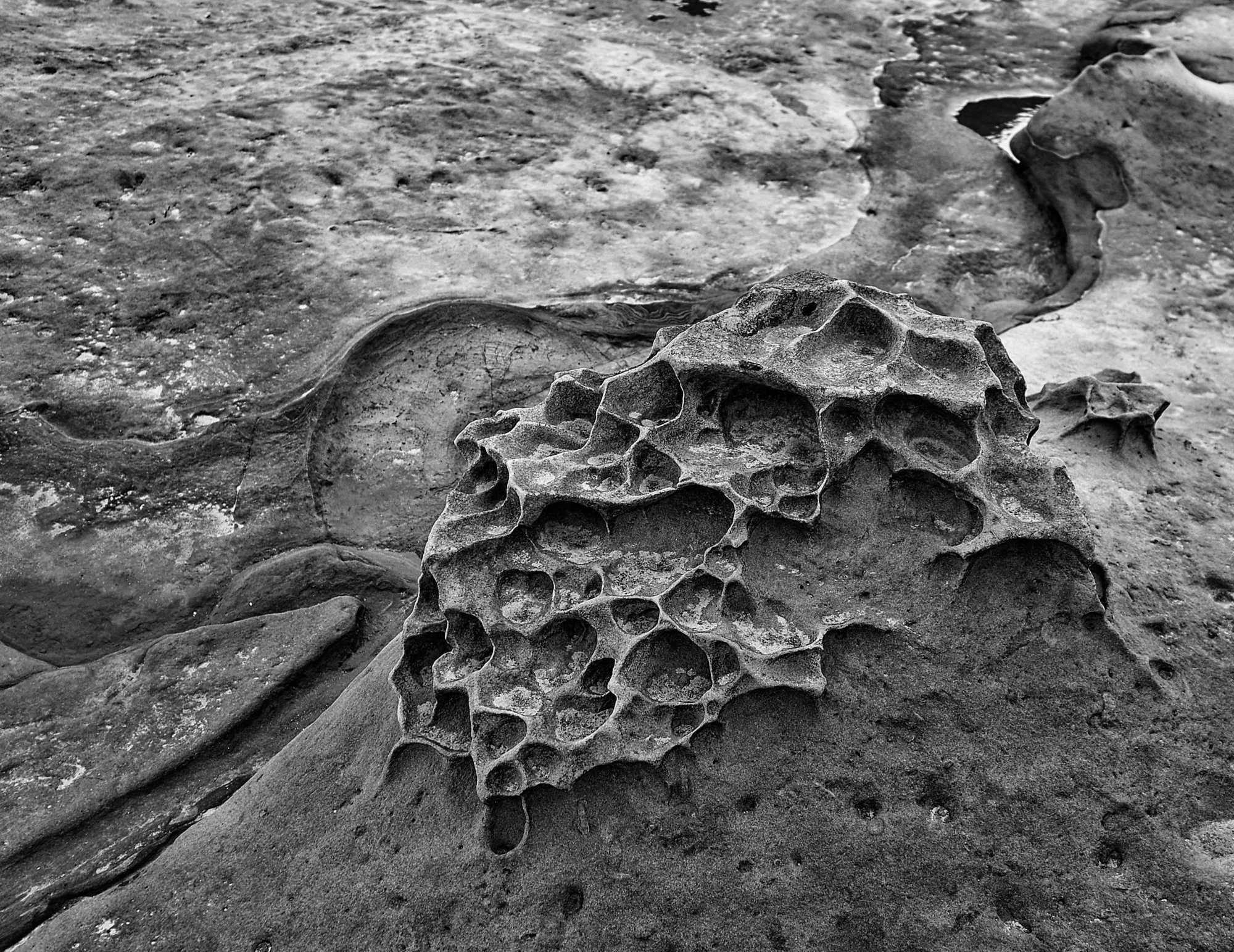 Yehliu Geopark. Detail.