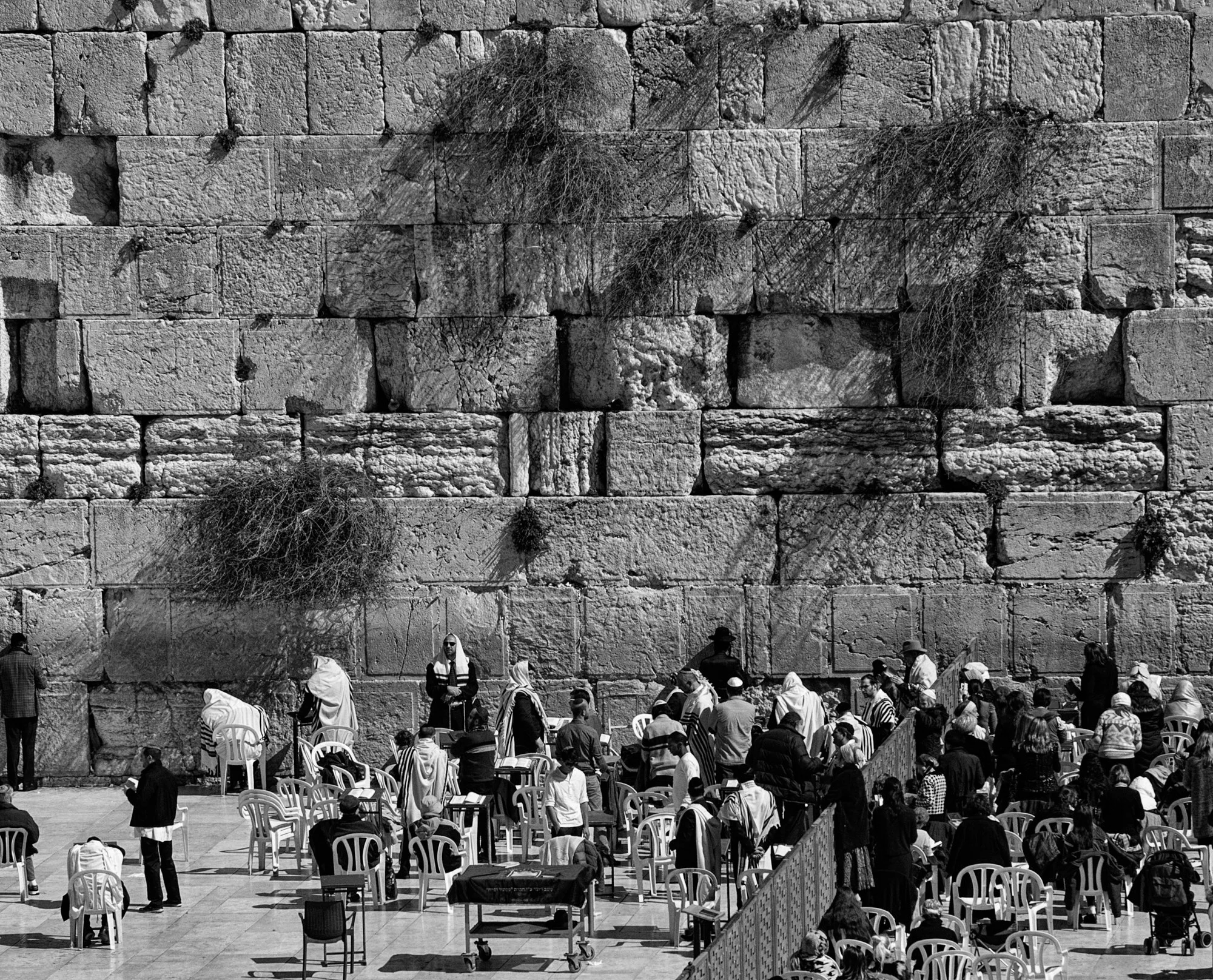 2017_israel_41.jpg