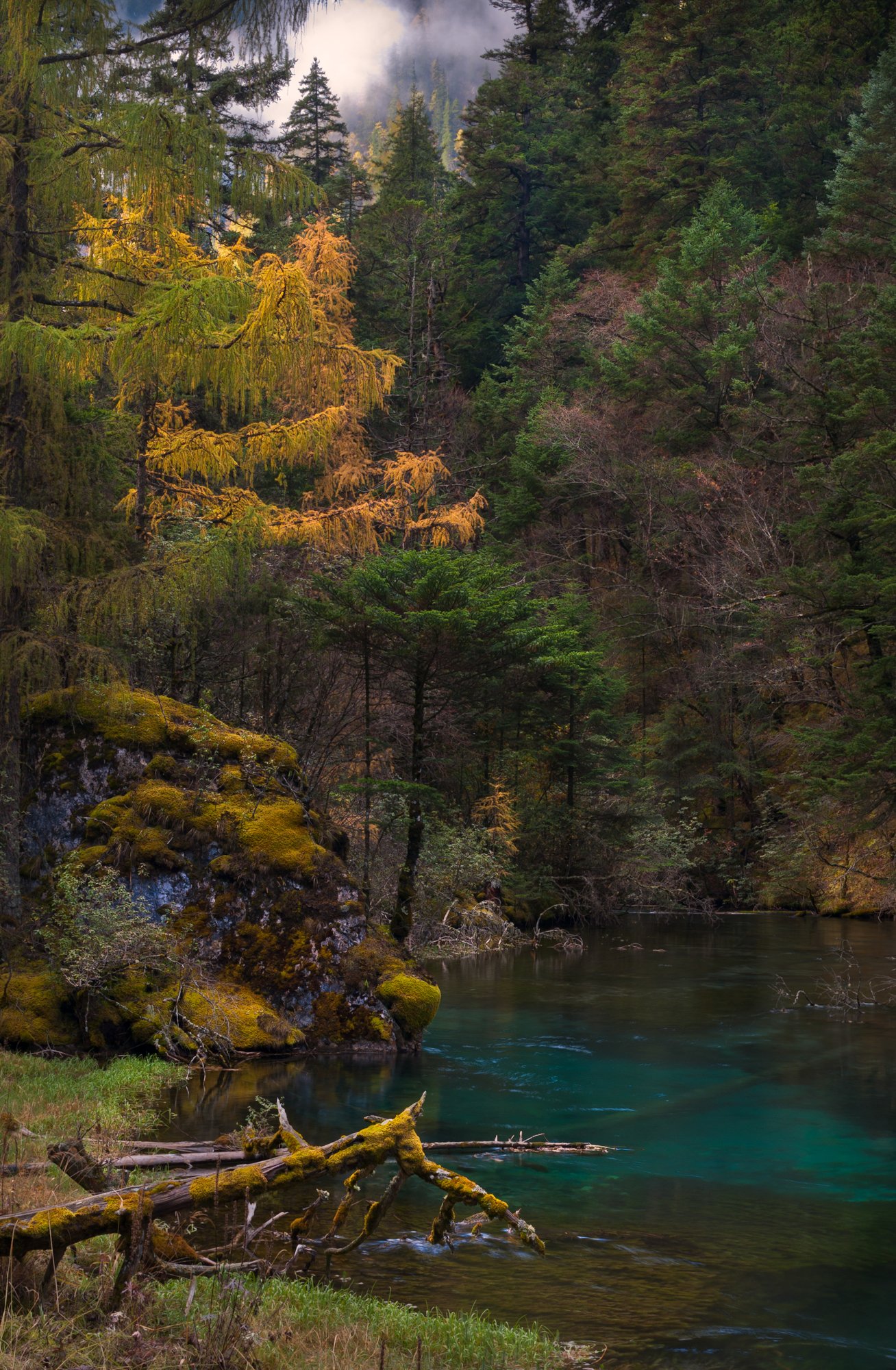 2011_china_jiuzhaigou_17.jpg