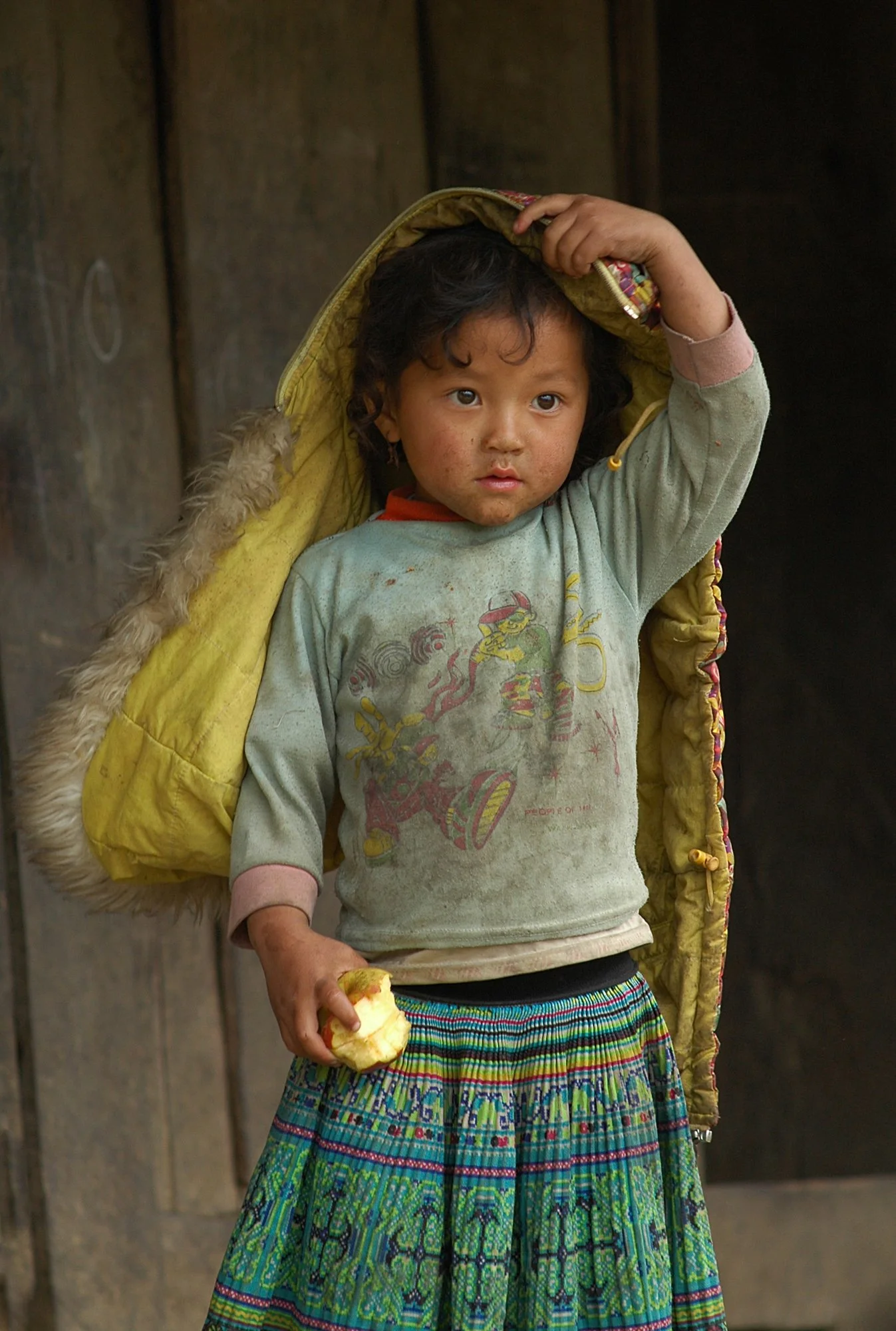 2008_sapa_05.jpg