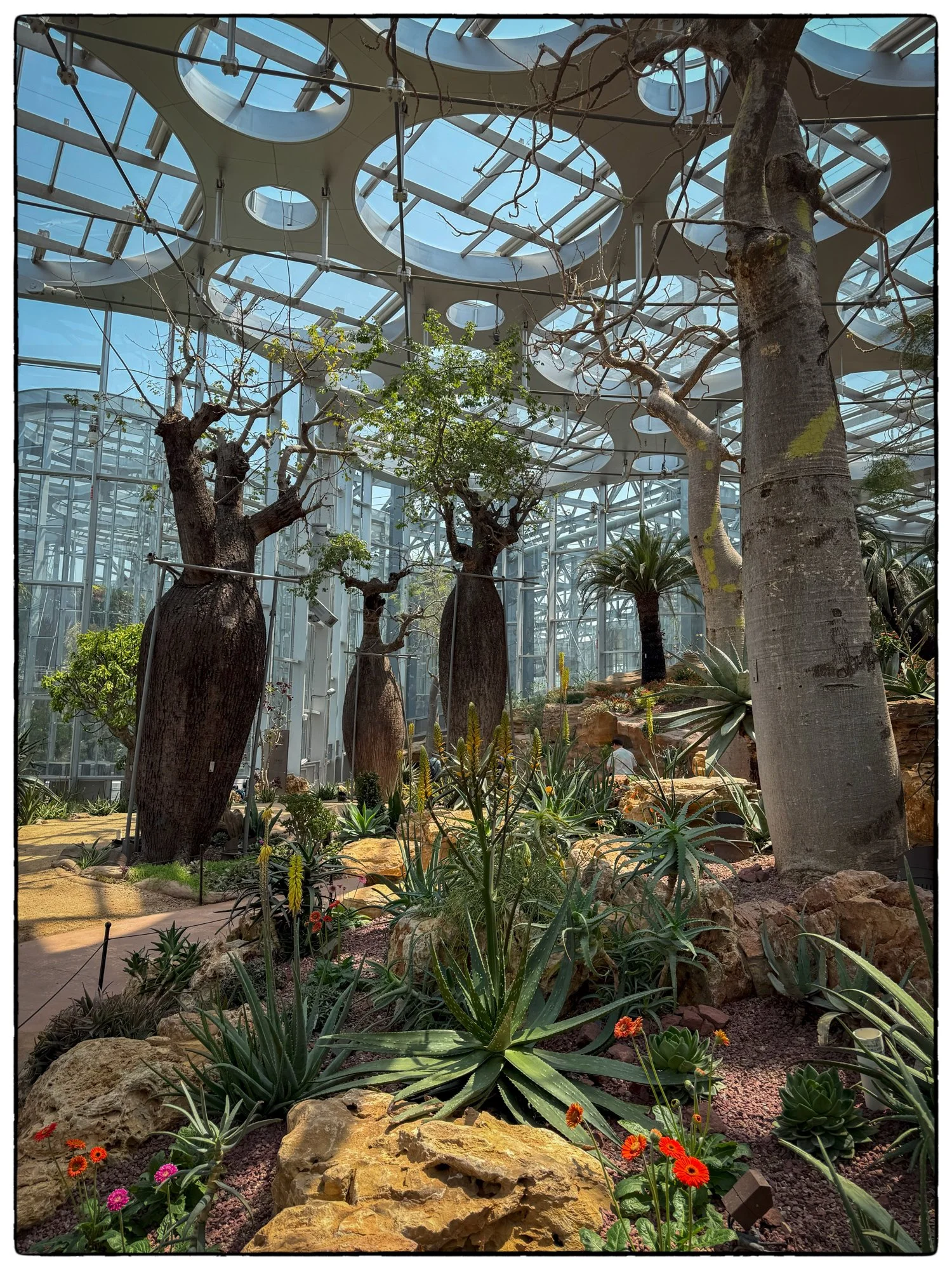 International Expo Center. Botanical Conservatory.
