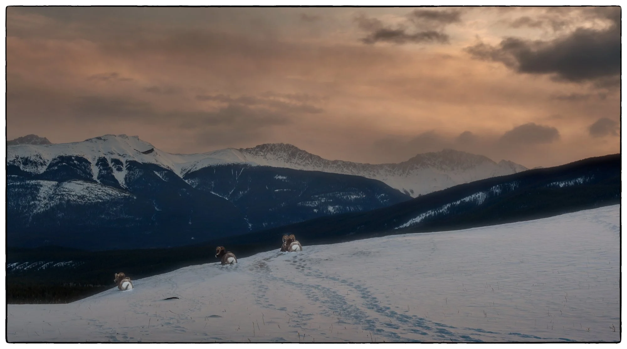 2012_jasper_14.jpg