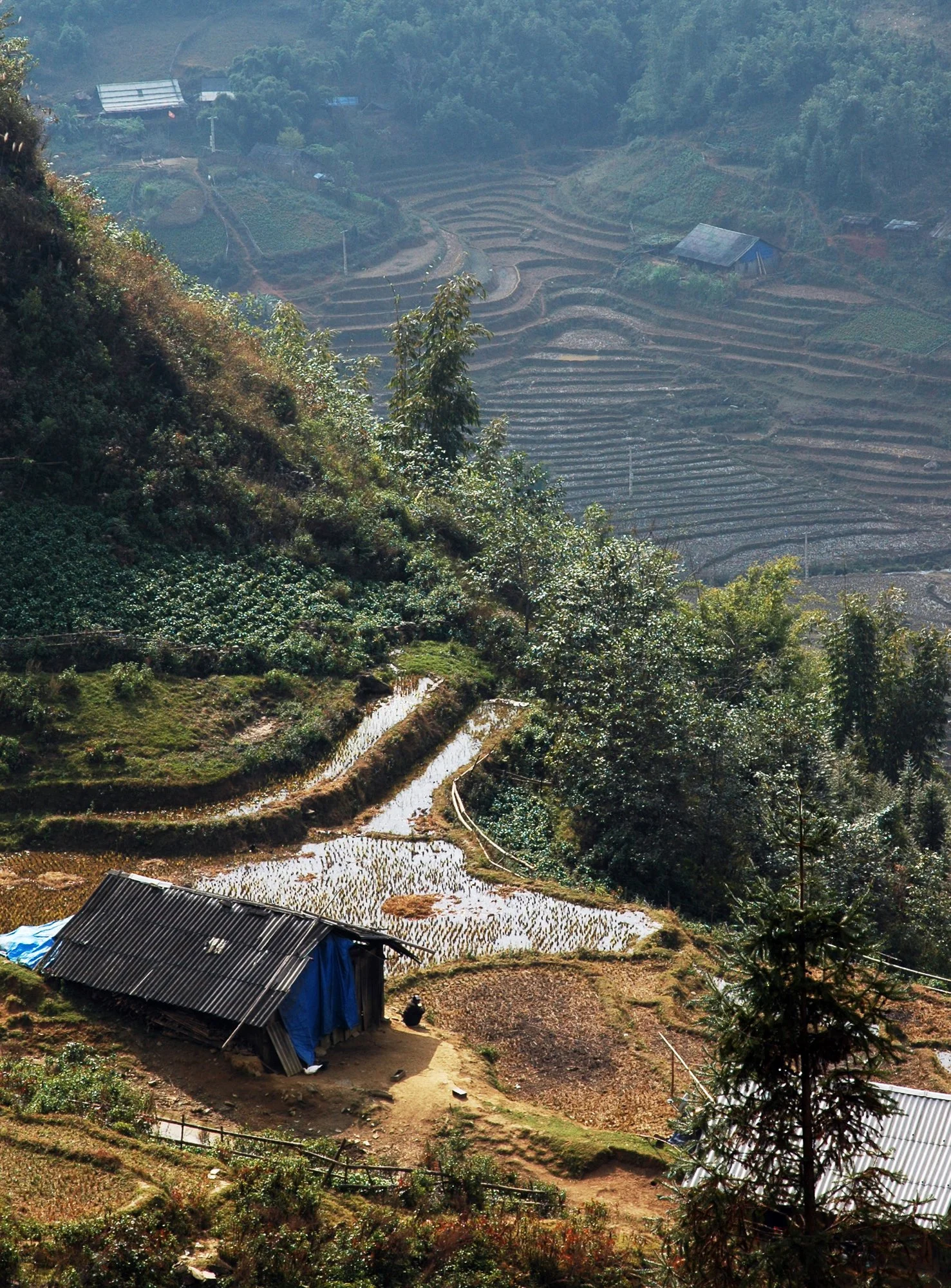2008_sapa_01.jpg