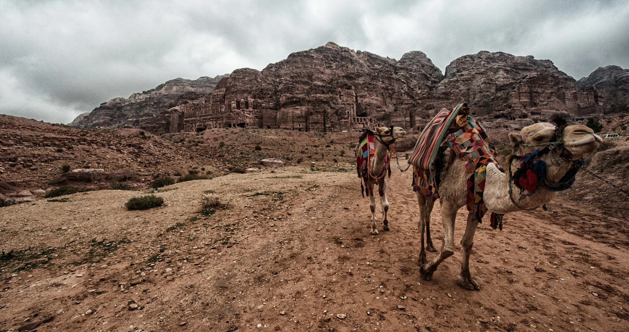2017_jordan_39.jpg