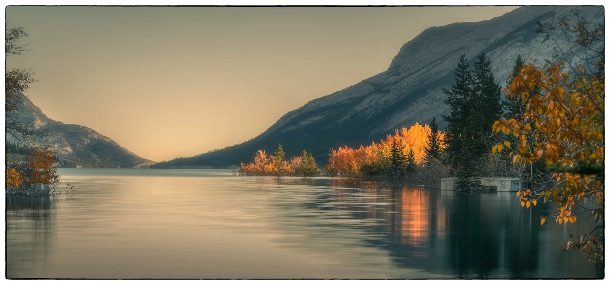 Along the David Thompson highway. Abraham Lake.