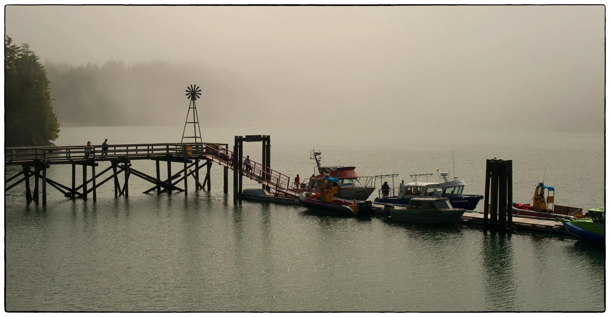 2012_vancouver_island24.jpg