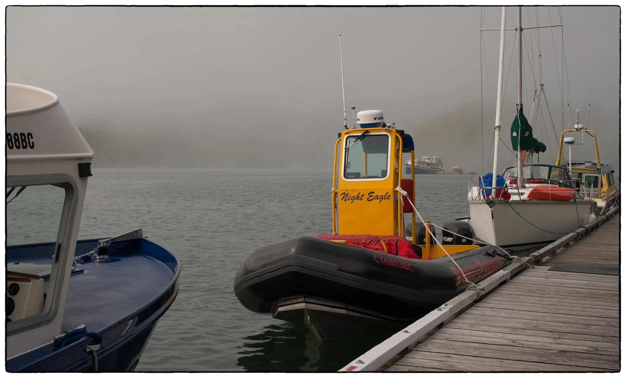 2012_vancouver_island26.jpg