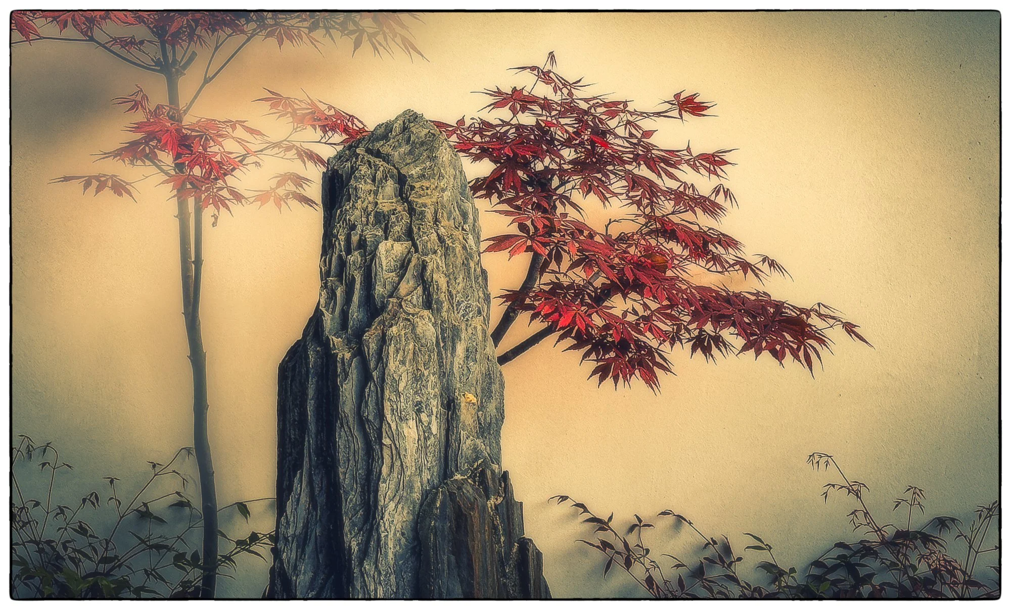 Shanghai Botanical Gardens. Banzai Garden.