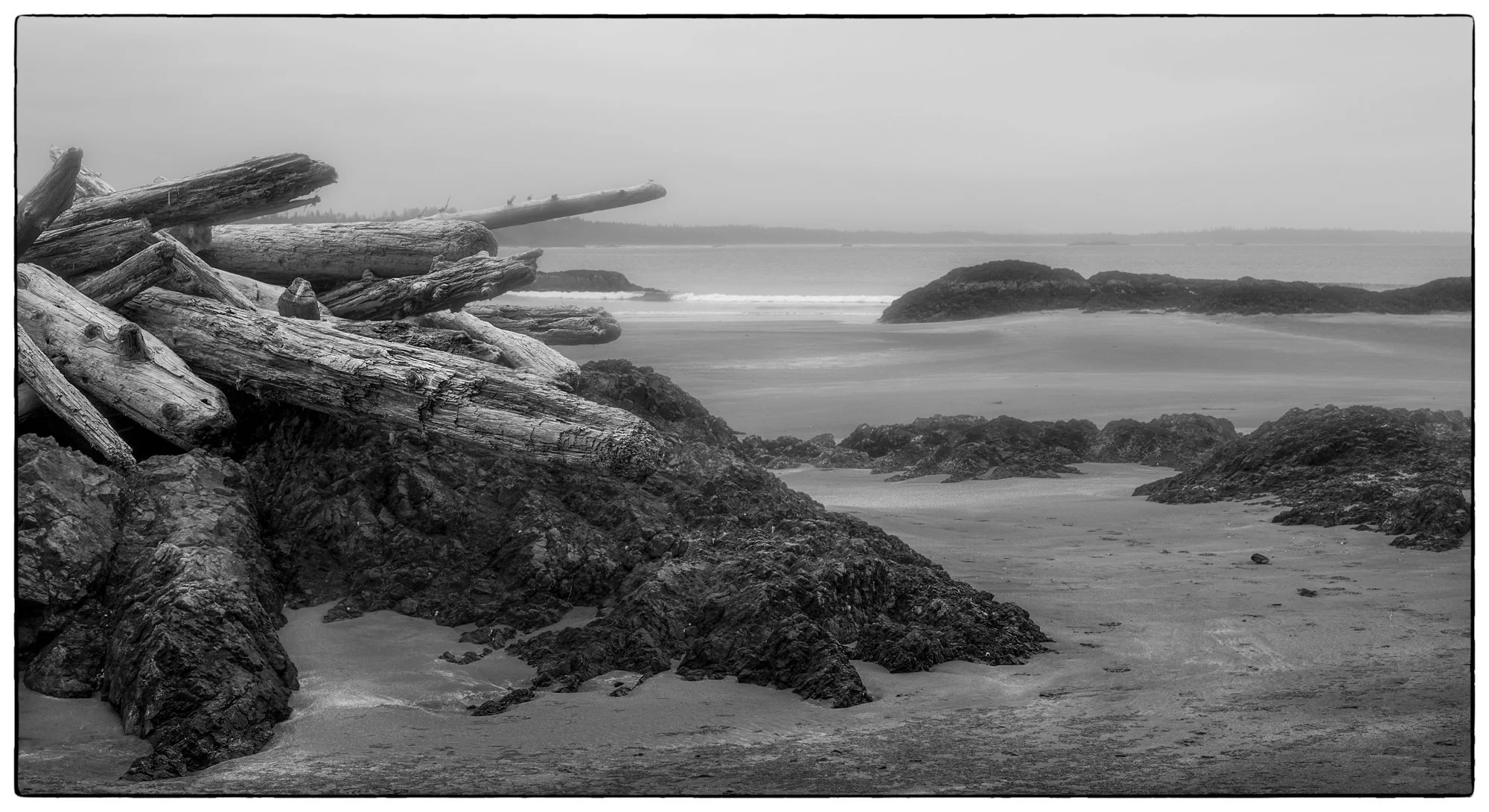 2012_vancouver_island13.jpg