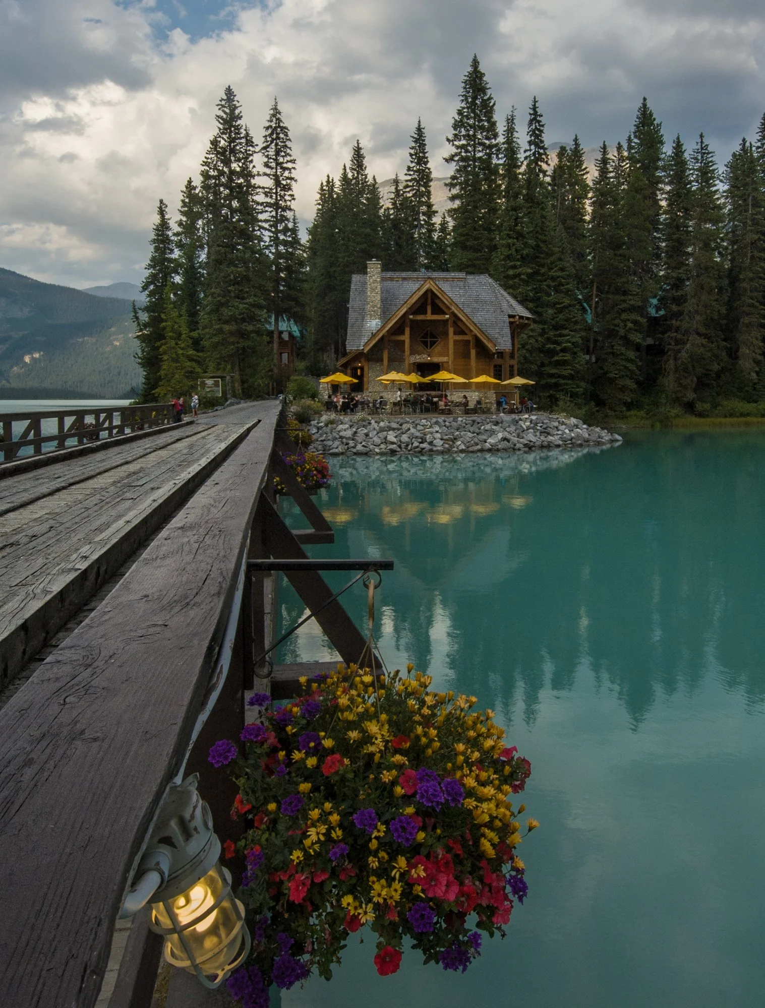 2009_yoho_05.jpg
