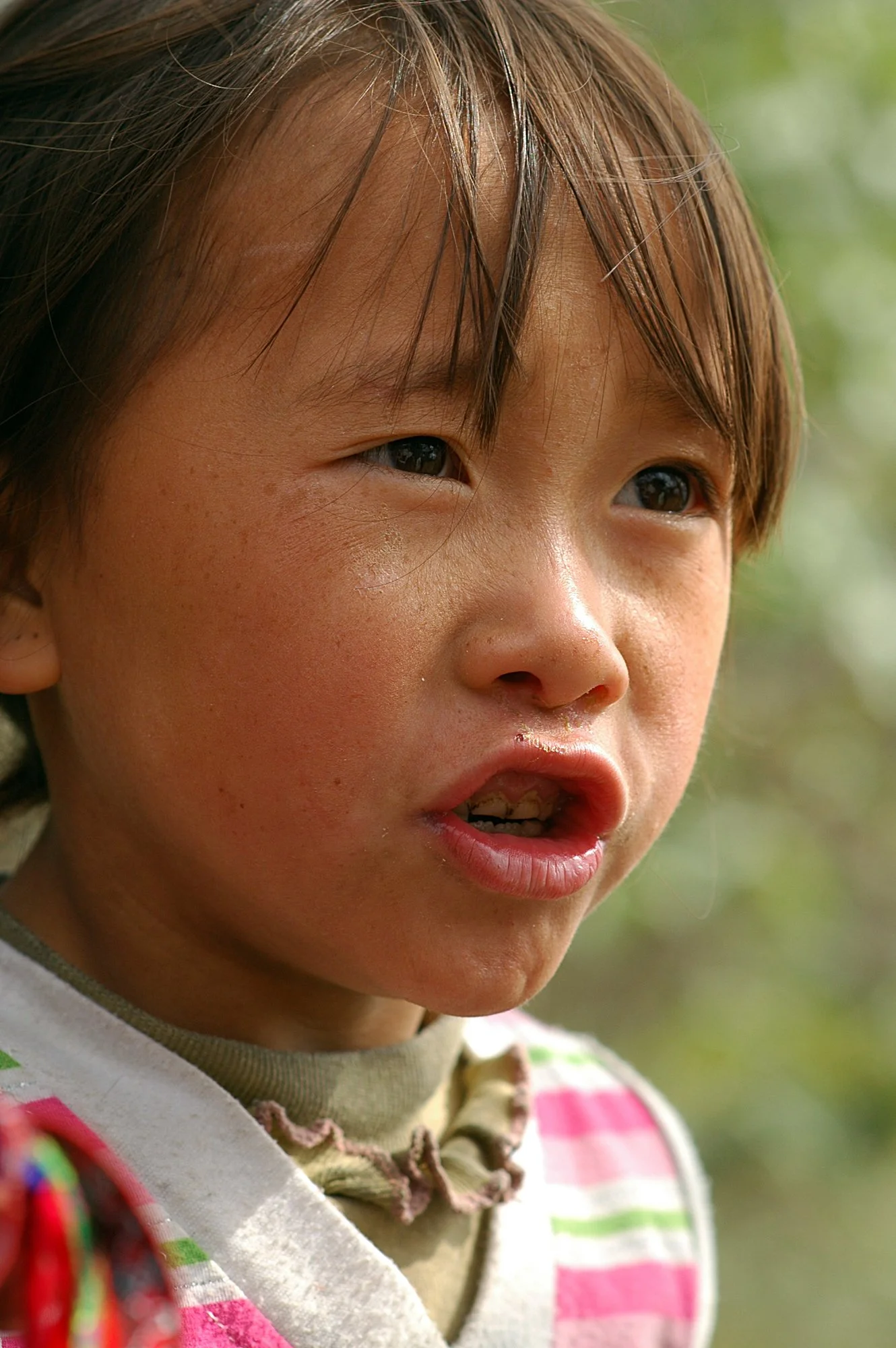 2008_sapa_08.jpg