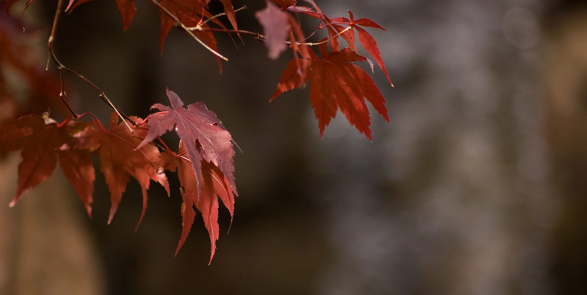 2009_quebec_14.jpg