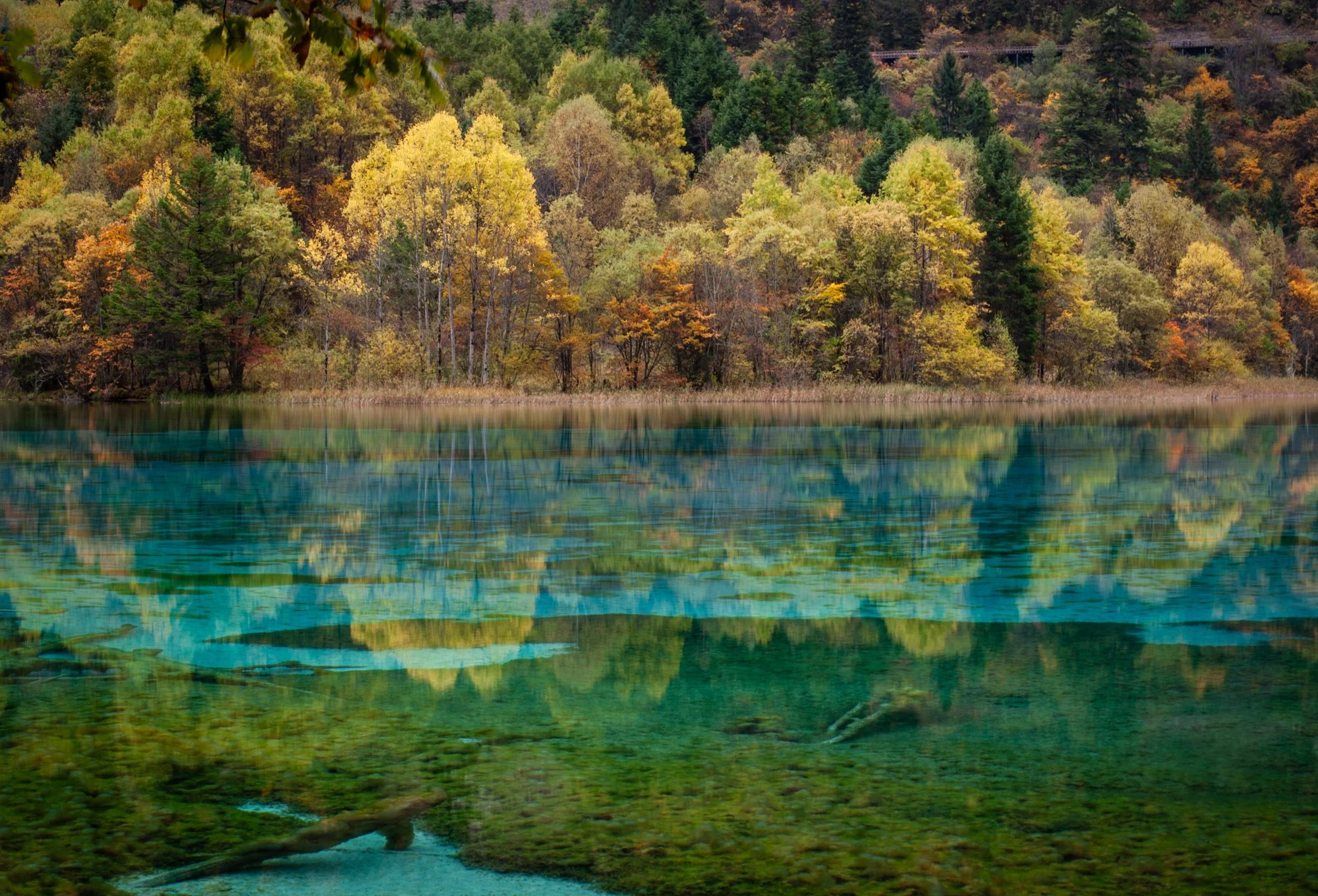 2011_china_jiuzhaigou_14.jpg