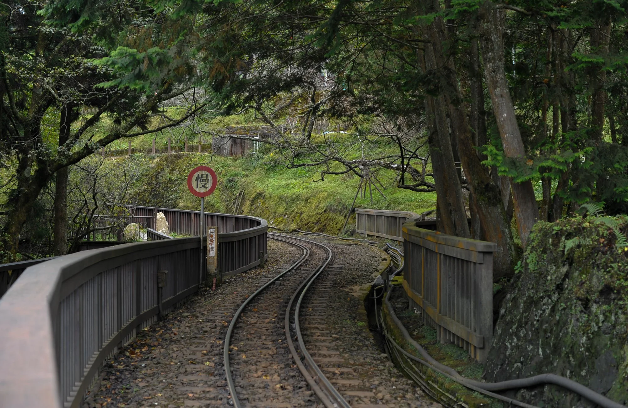 Alishan historical railroad.
