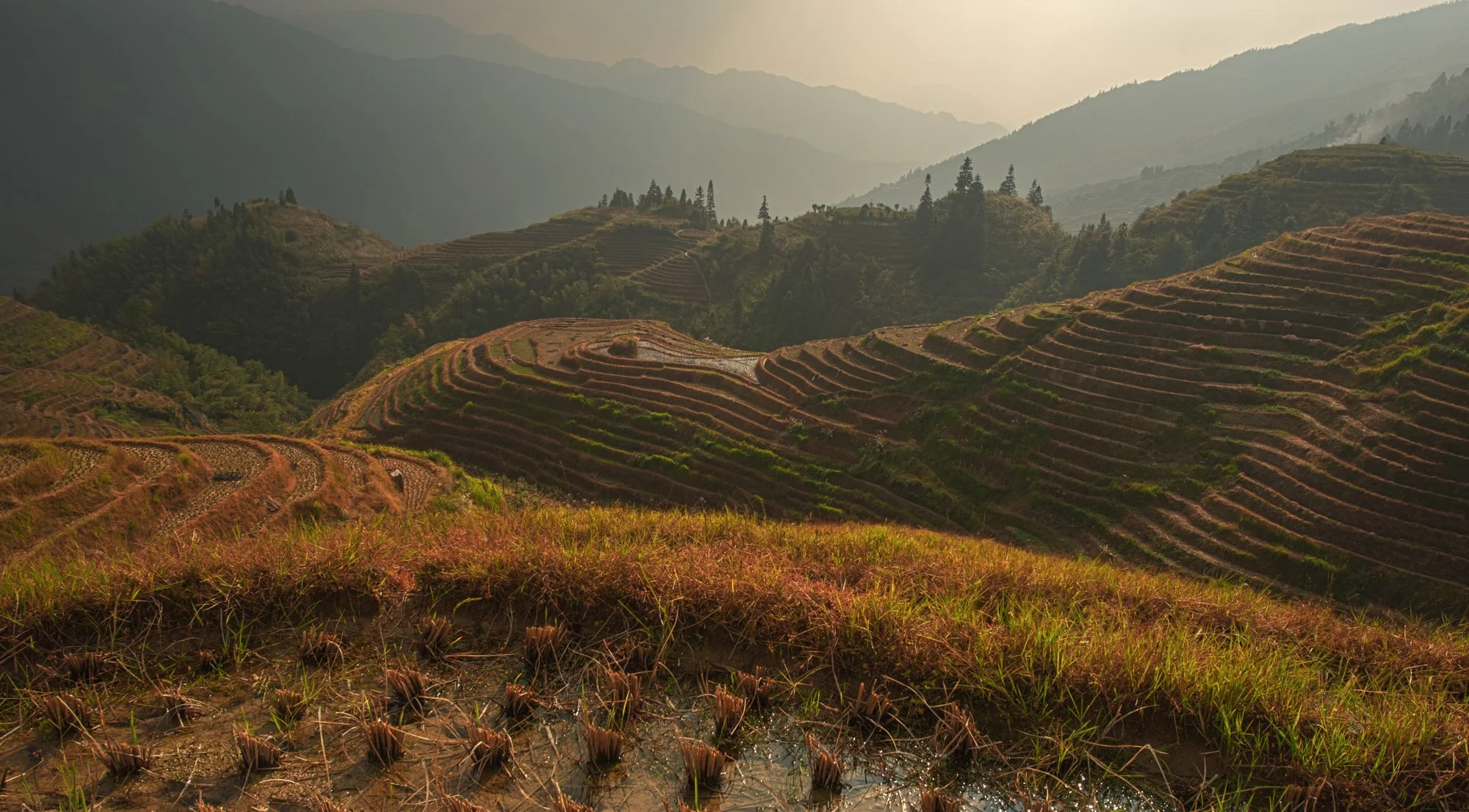 2011_china_longsheng_14.jpg