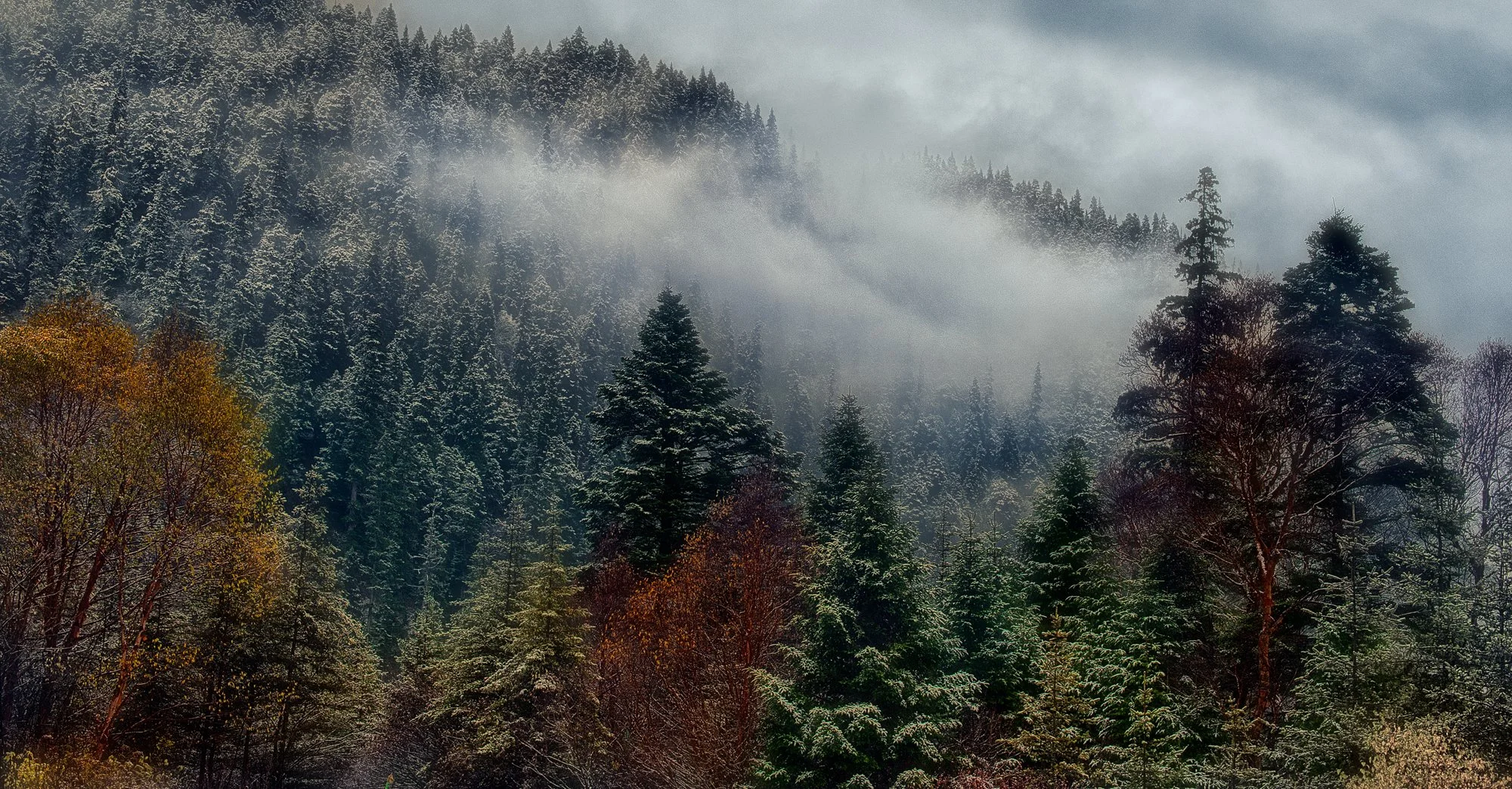 2011_china_jiuzhaigou_04.jpg