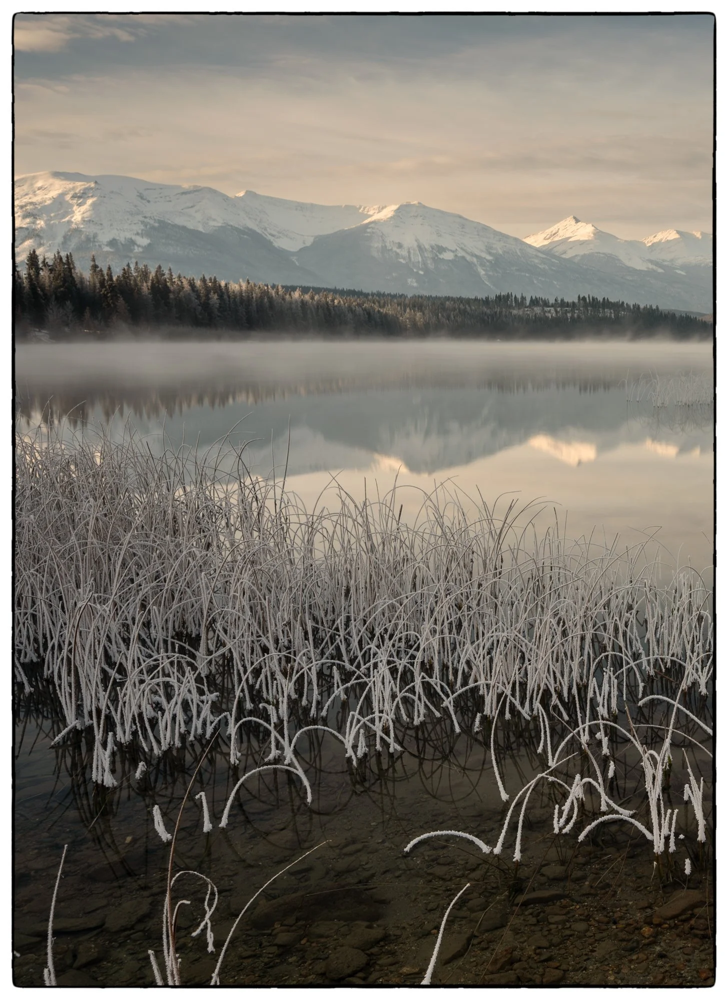 Patricia Lake. Early Morning