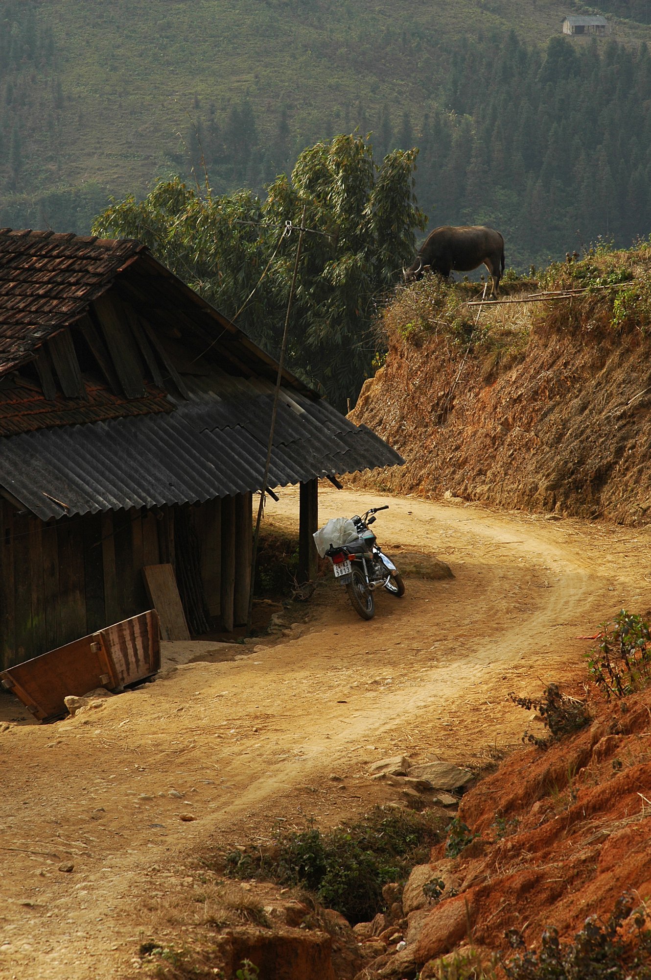 2008_sapa_36.jpg