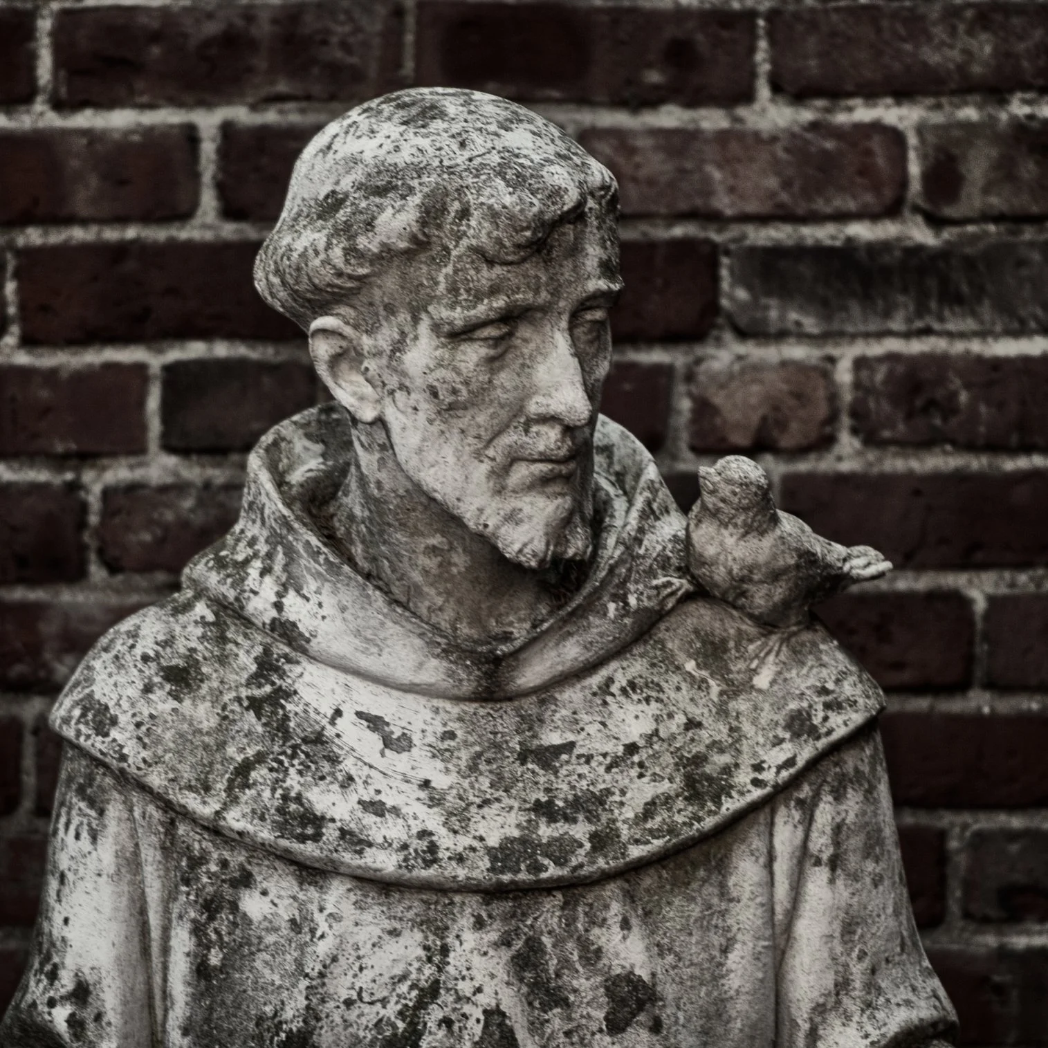 Stature of St. Francis.
