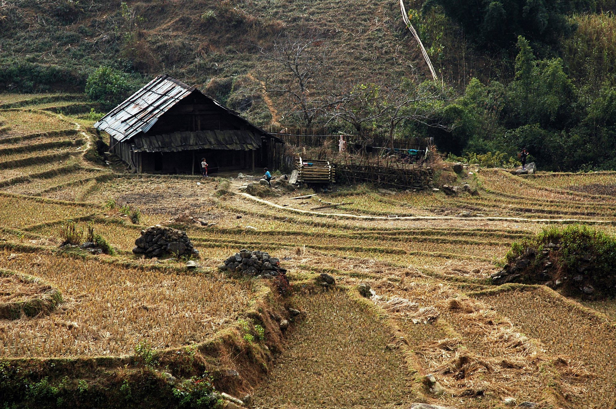 2008_sapa_30.jpg