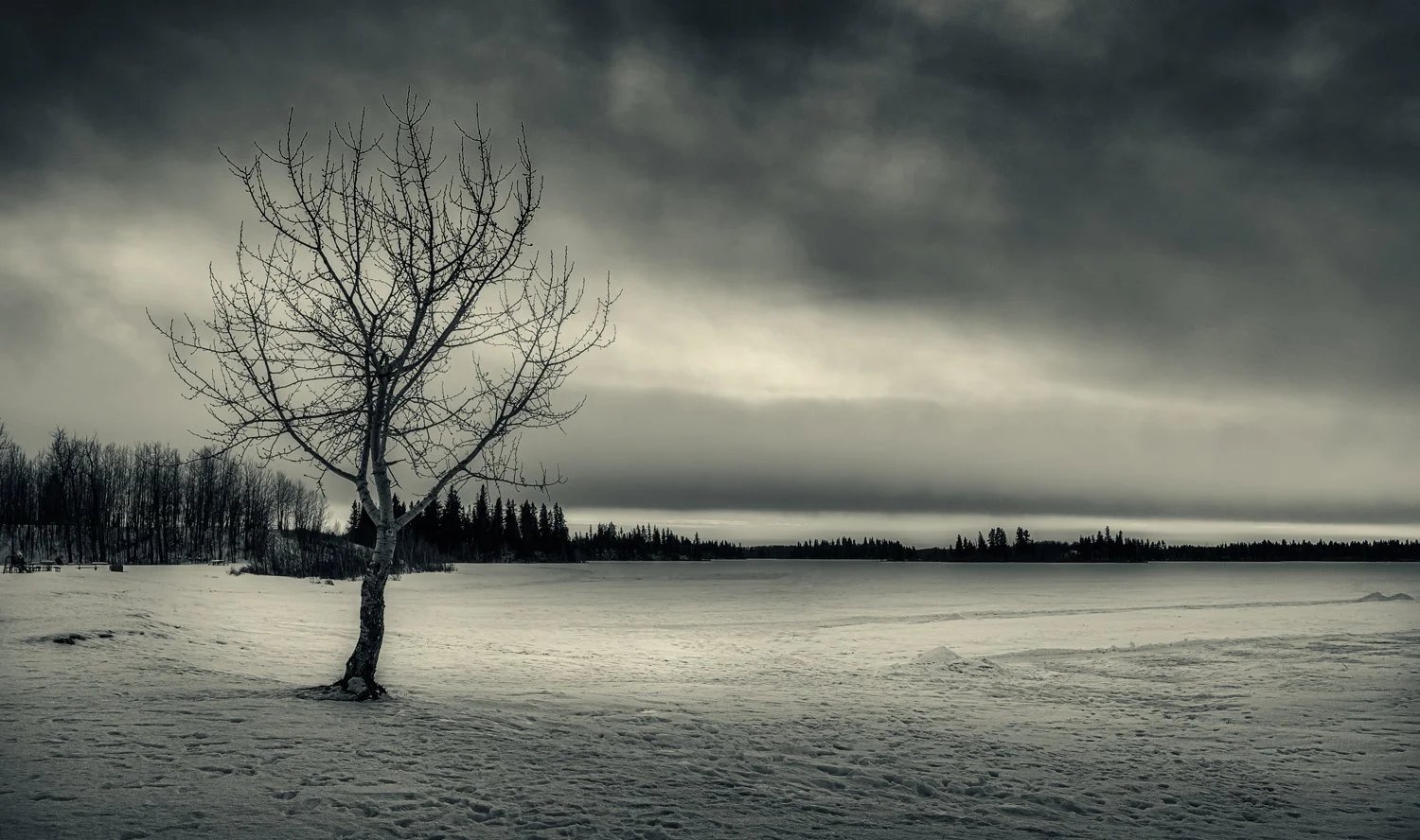This was taken in the Elk Island National Park. The weather was gray. Yet this photo turned out so dramatic or so peaceful, depends on who you ask. 