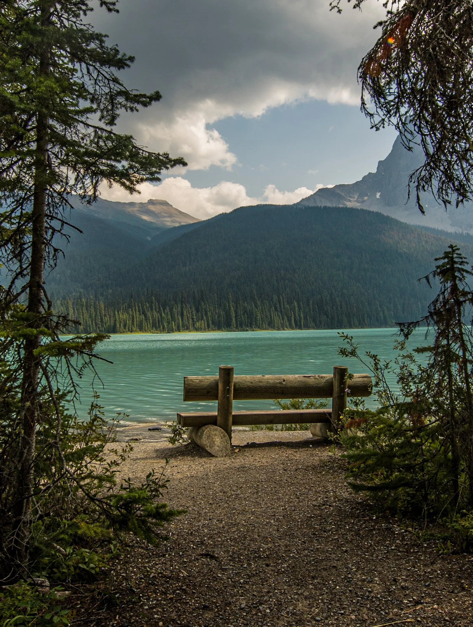 2009_yoho_02.jpg