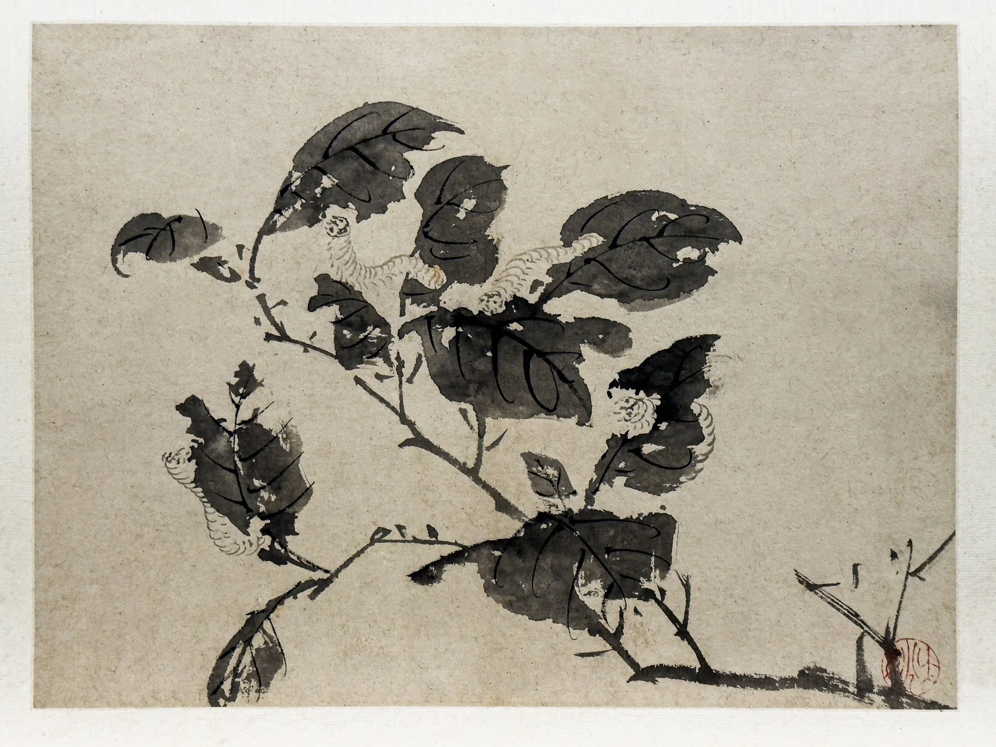 Shanghai Museum
