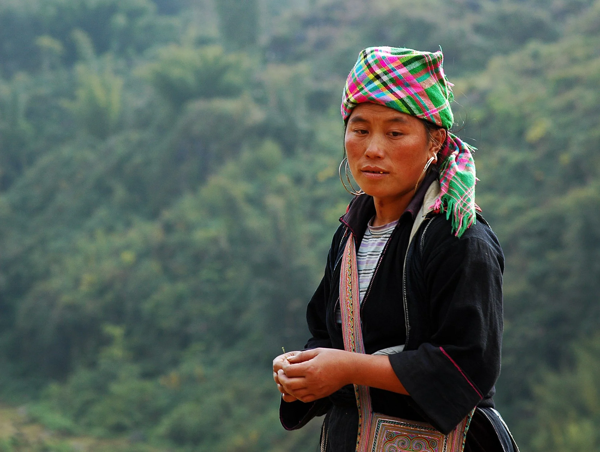 2008_sapa_32.jpg