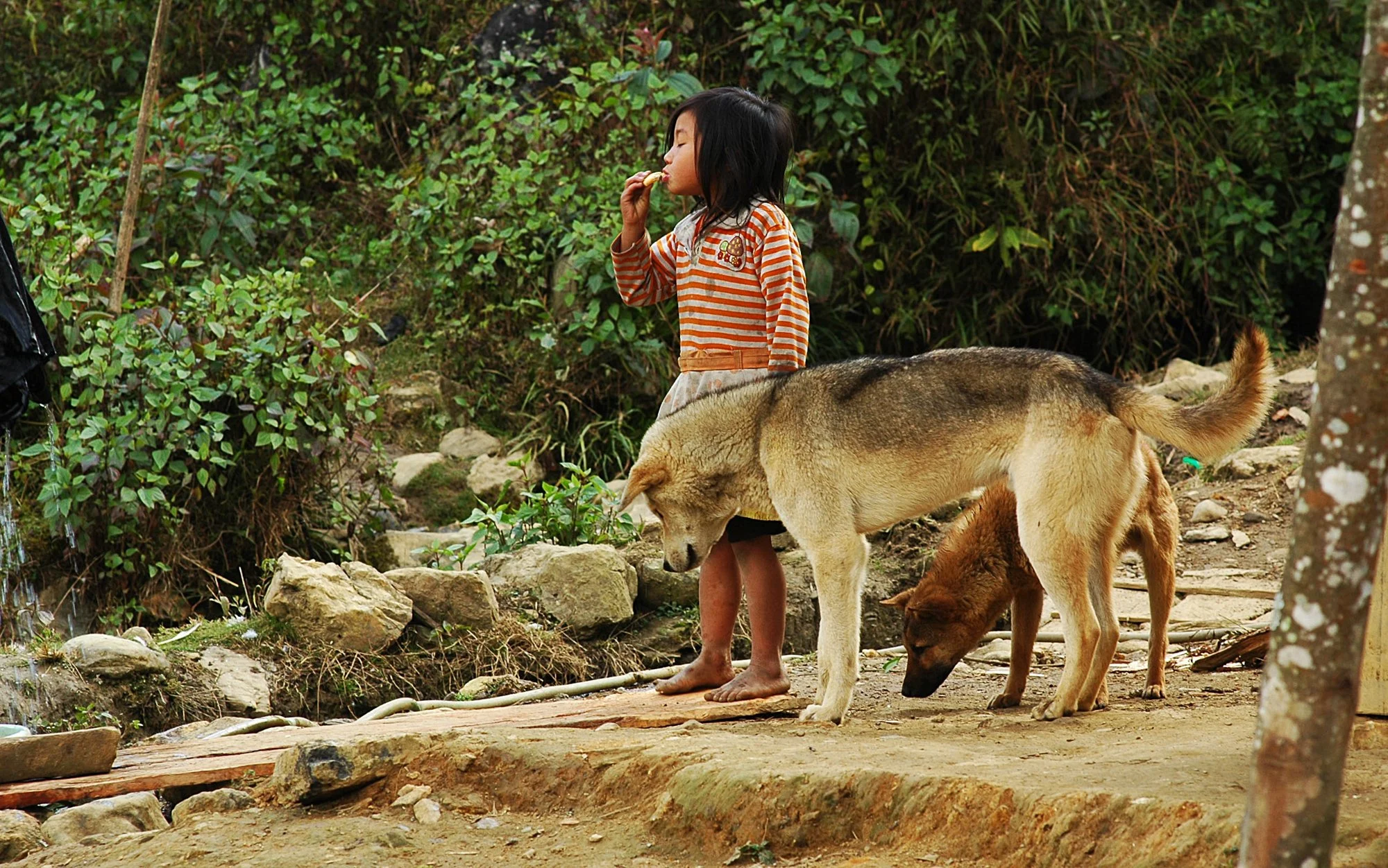 2008_sapa_27.jpg