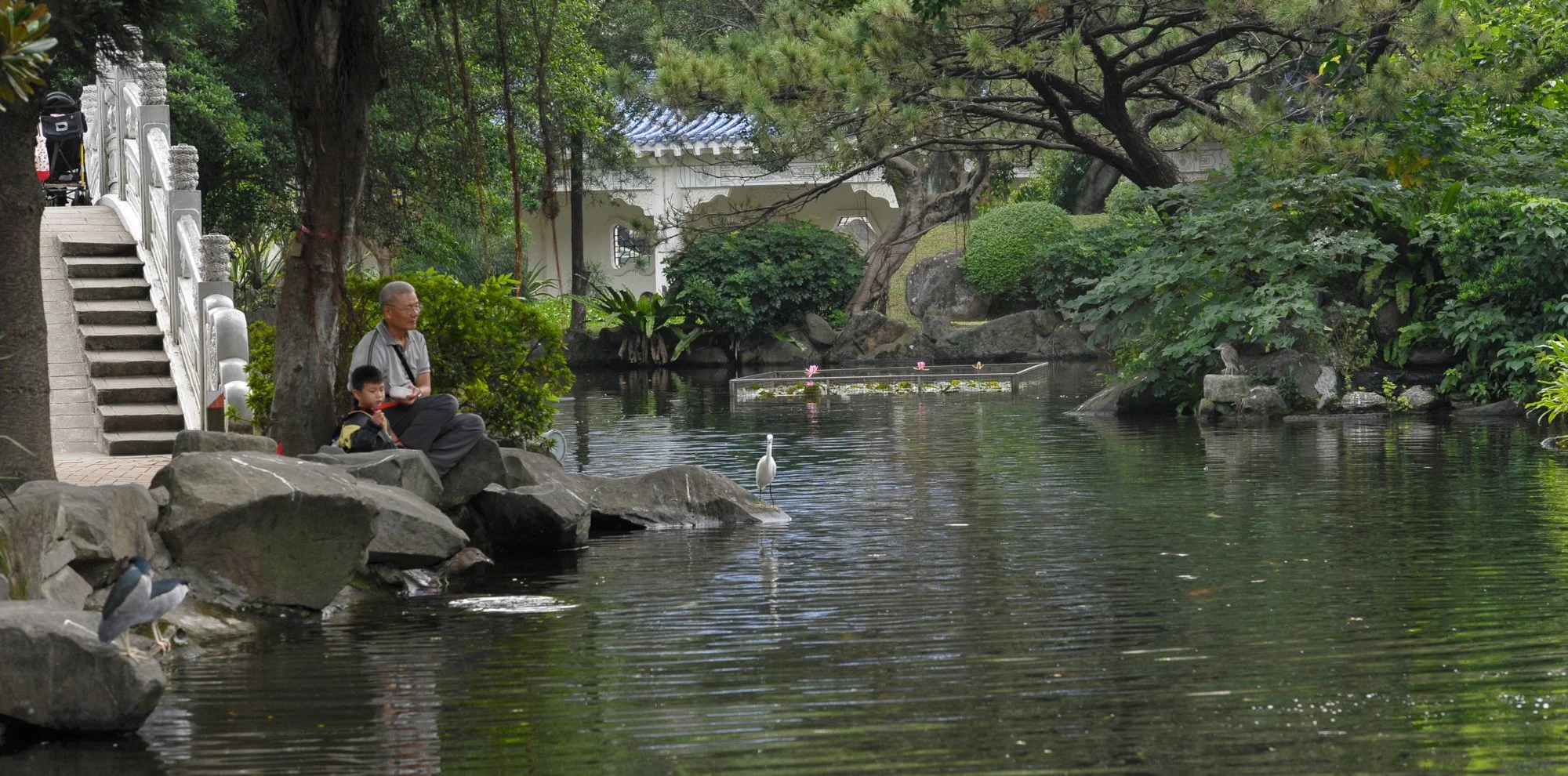 This is a garden at the National Chiang Kai-shek Memorial.