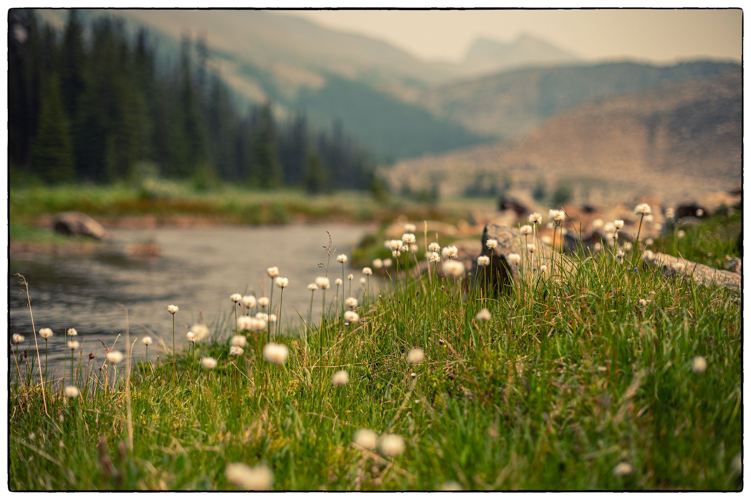 Skyline Hike. A little creek by the Shovel Pass Lodge.