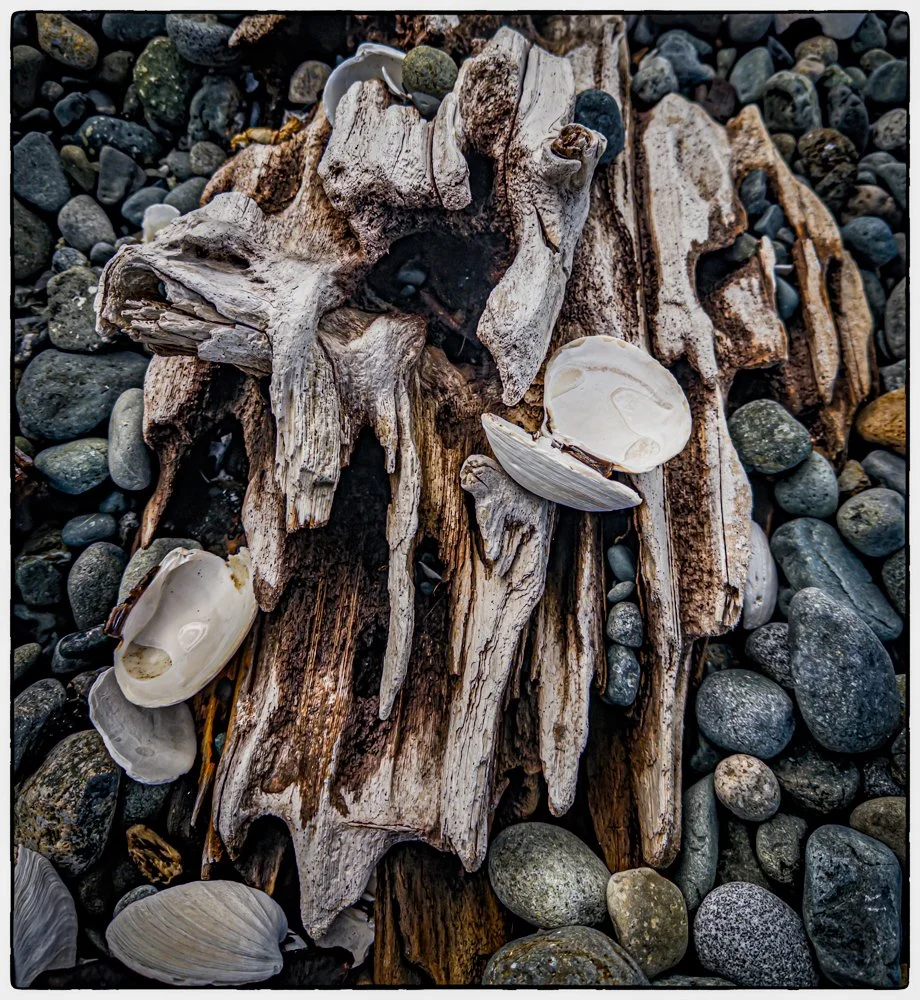 North Vancouver island resort  Cluxewe, walking on the beach