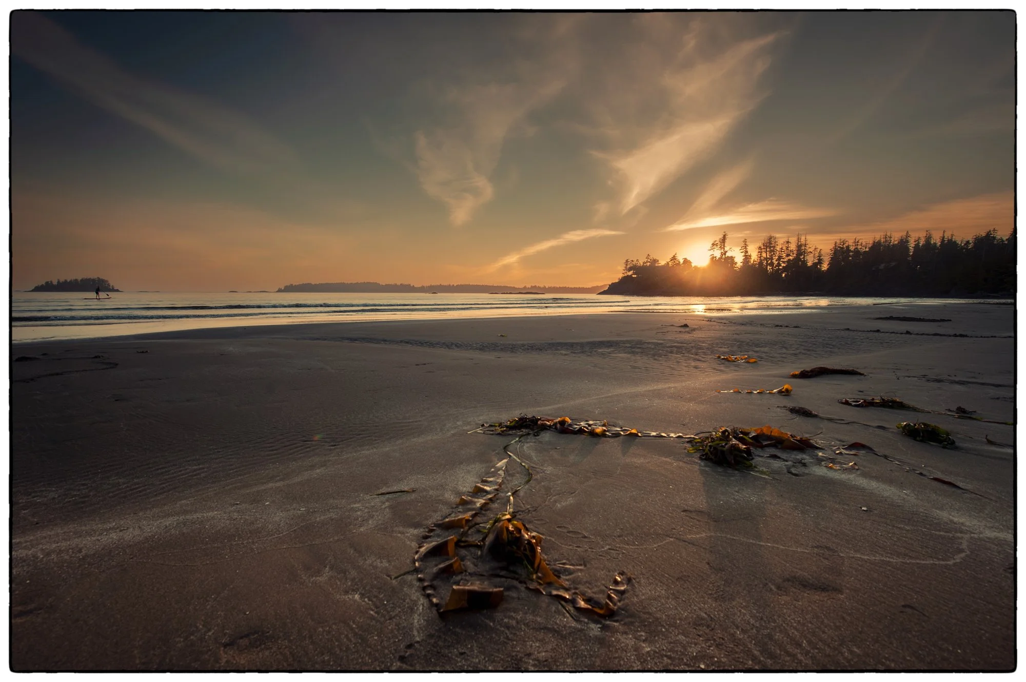 2012_vancouver_island29.jpg