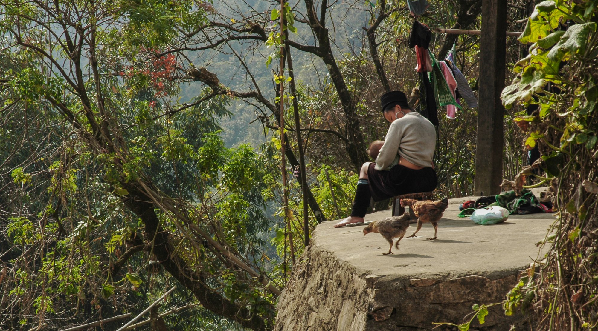 2008_sapa_02.jpg