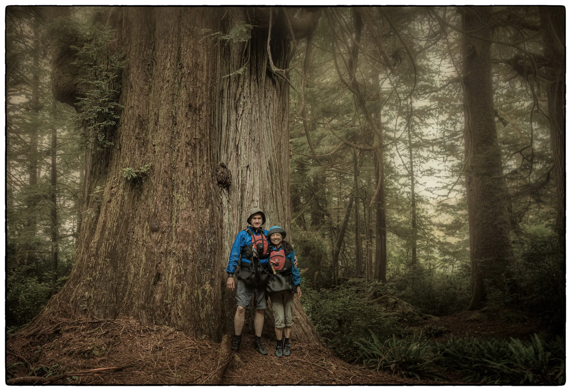 Visit this giant of a tree on one of the islands.