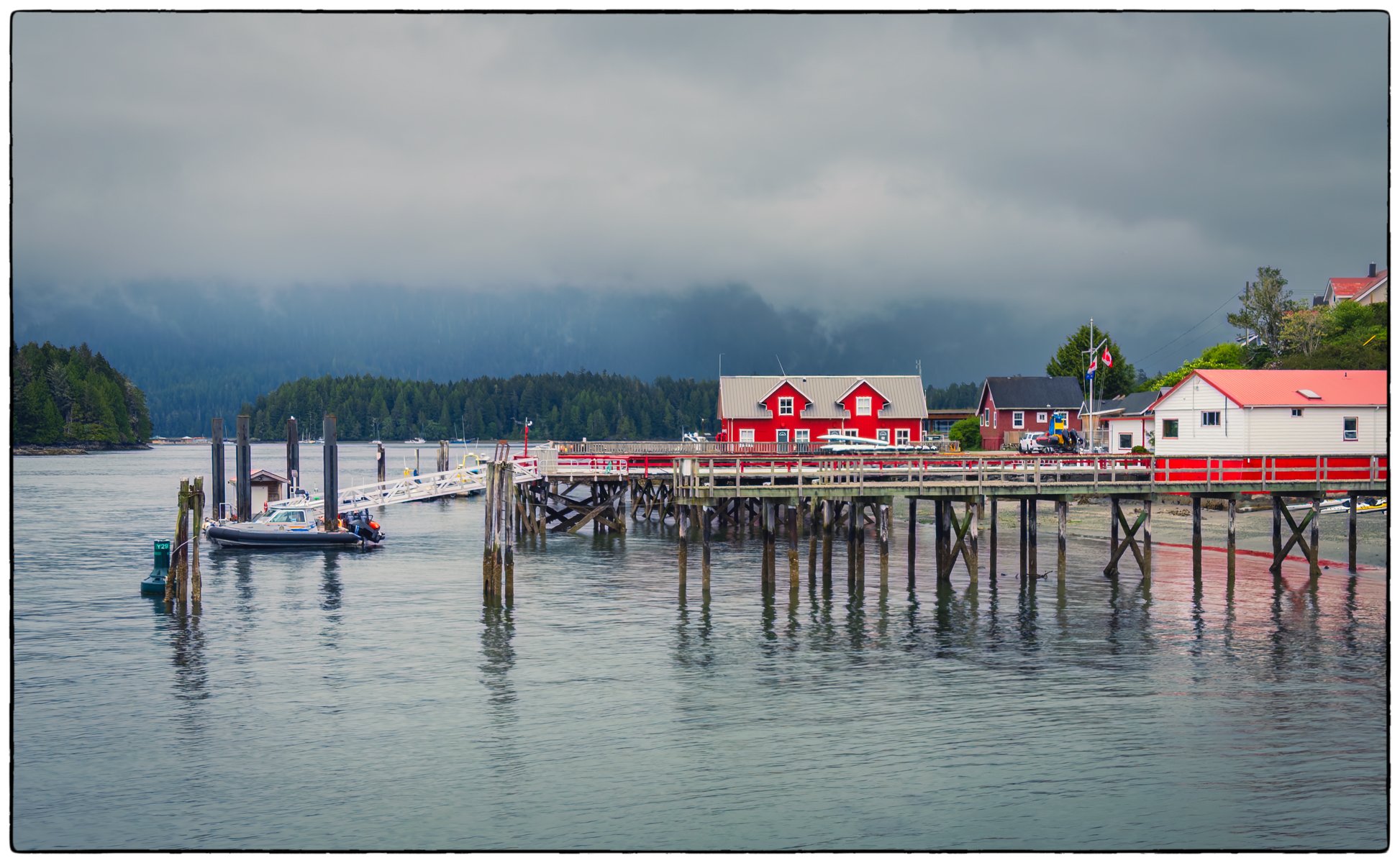 Tofino